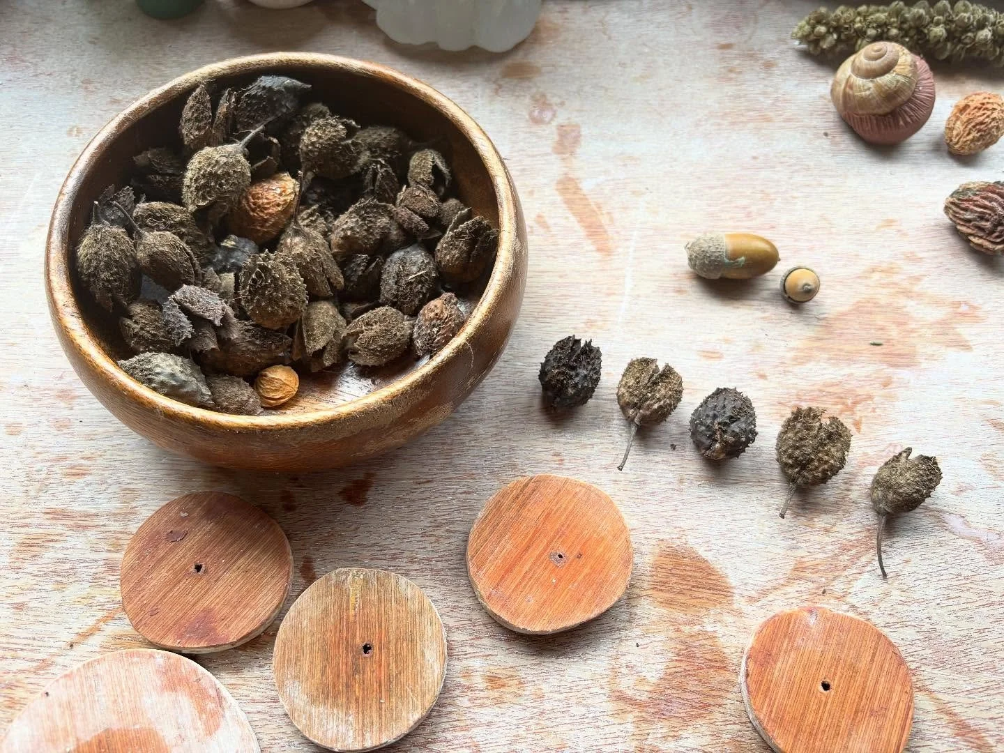 Today&hellip;
Starting the process of casting beech nuts for Coed-Coexist project and exhibition @junkomori44 @making_little @orielplasglynyweddw