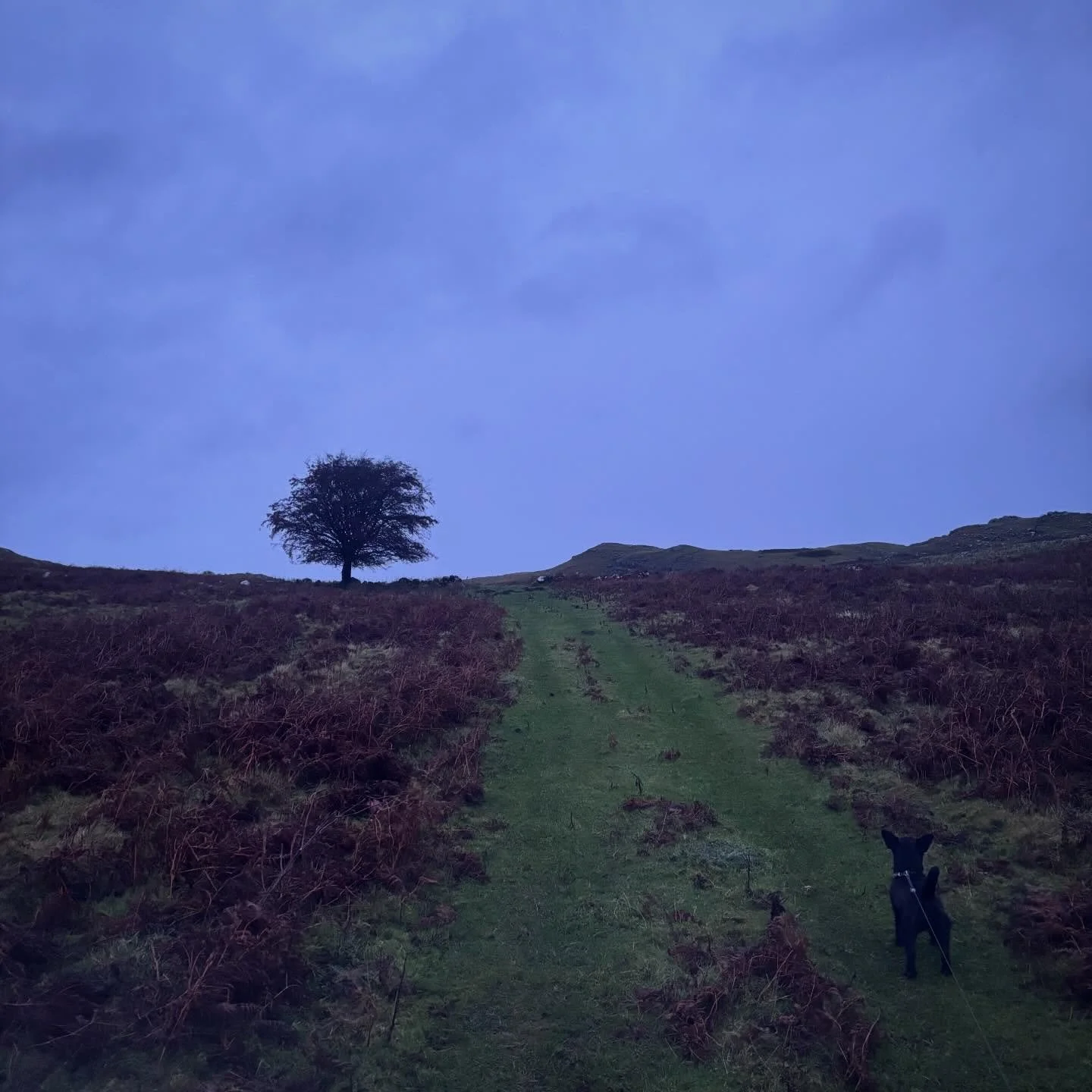 Morning - nearly to shortest day of the year&hellip; 🥶 bring back the light soon please 🙏