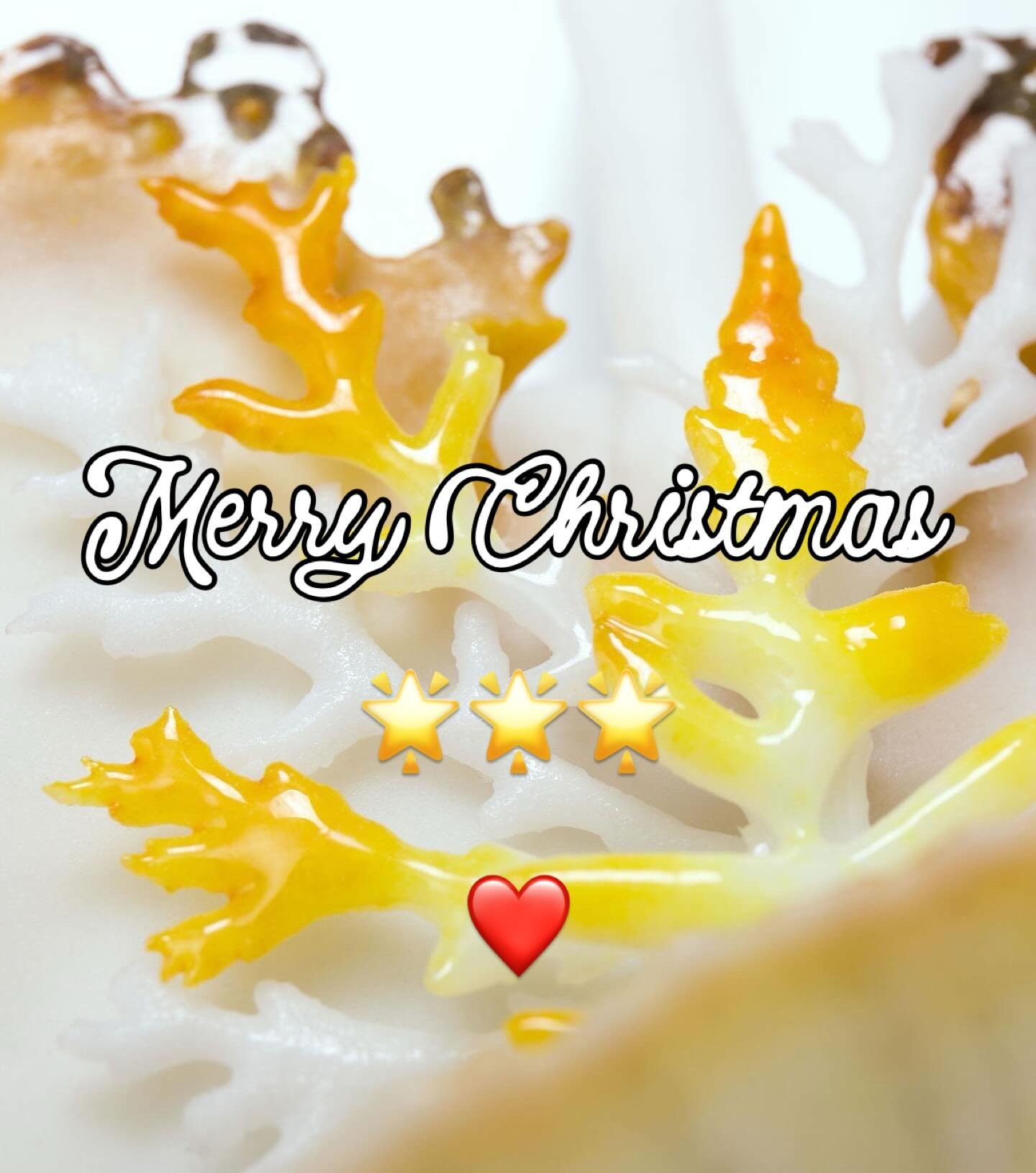 Merry Christmas everyone 🫶
Hope you have a lovely day. Tons of love from me &hearts;️