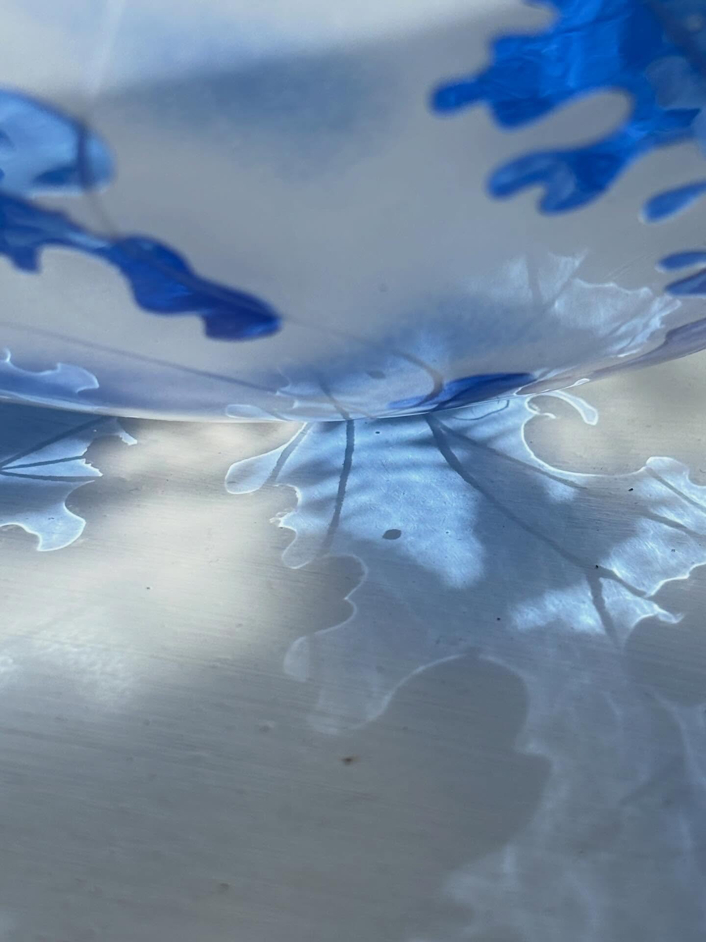 Oh the beauty of glass in the sun- so magic 💙
#glassart #contemporarycraft #blue #glass #welshartist