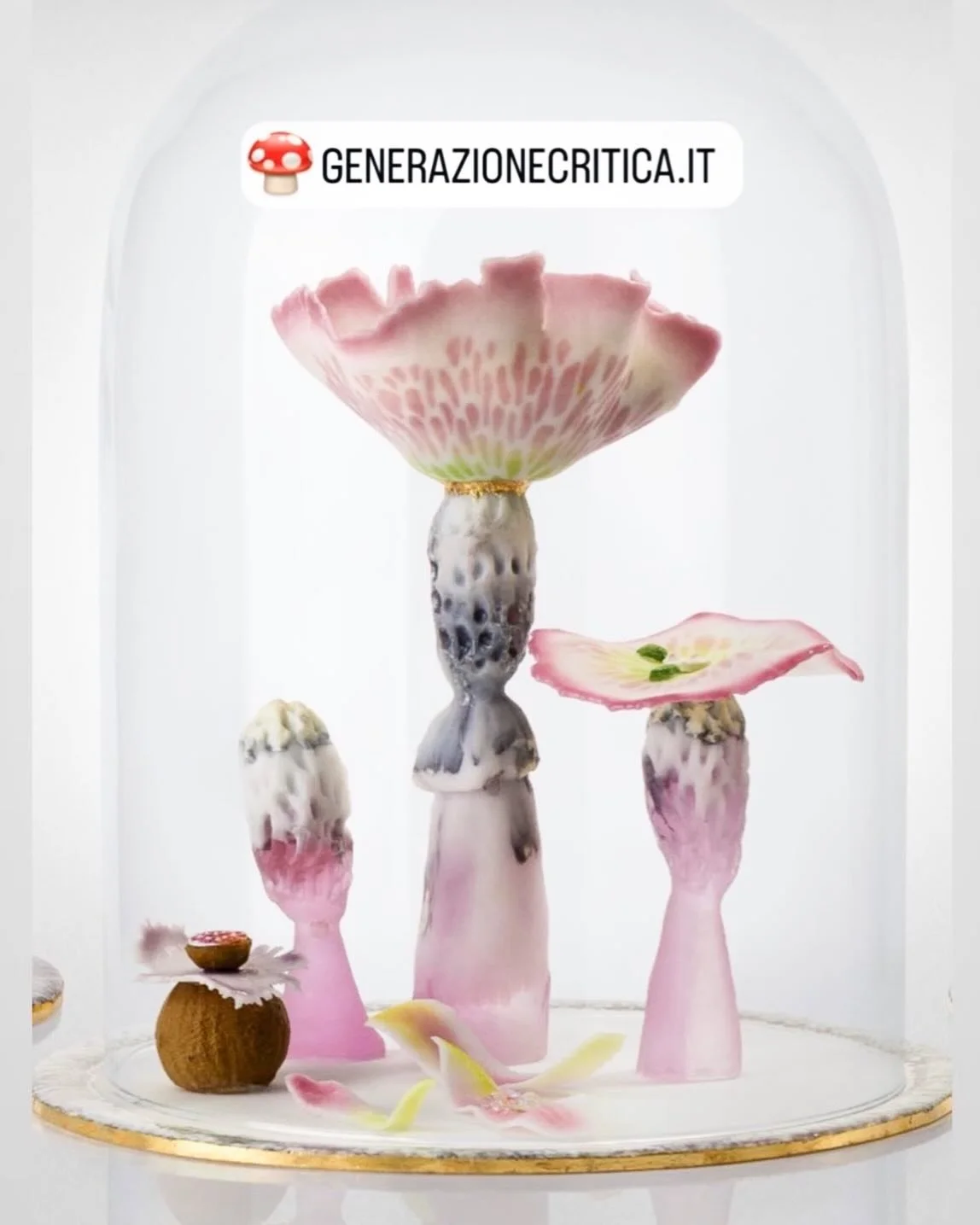 Currently available @ruthincrafts 🌸
Thanks for the post @generazionecritica 
#glassart #contemporarycraft #mushrooms #glass #welshartist