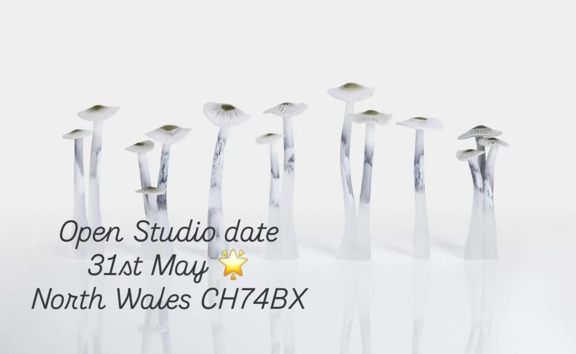 Open Studio date
31st May 🌟
North Wales CH74BX
I&rsquo;ve decided to open my home studio for visitors at the end of May. I have a lot of new work for you to see.
Anybody free? Save the date I&rsquo;d love to see you. It&rsquo;s been too long since I