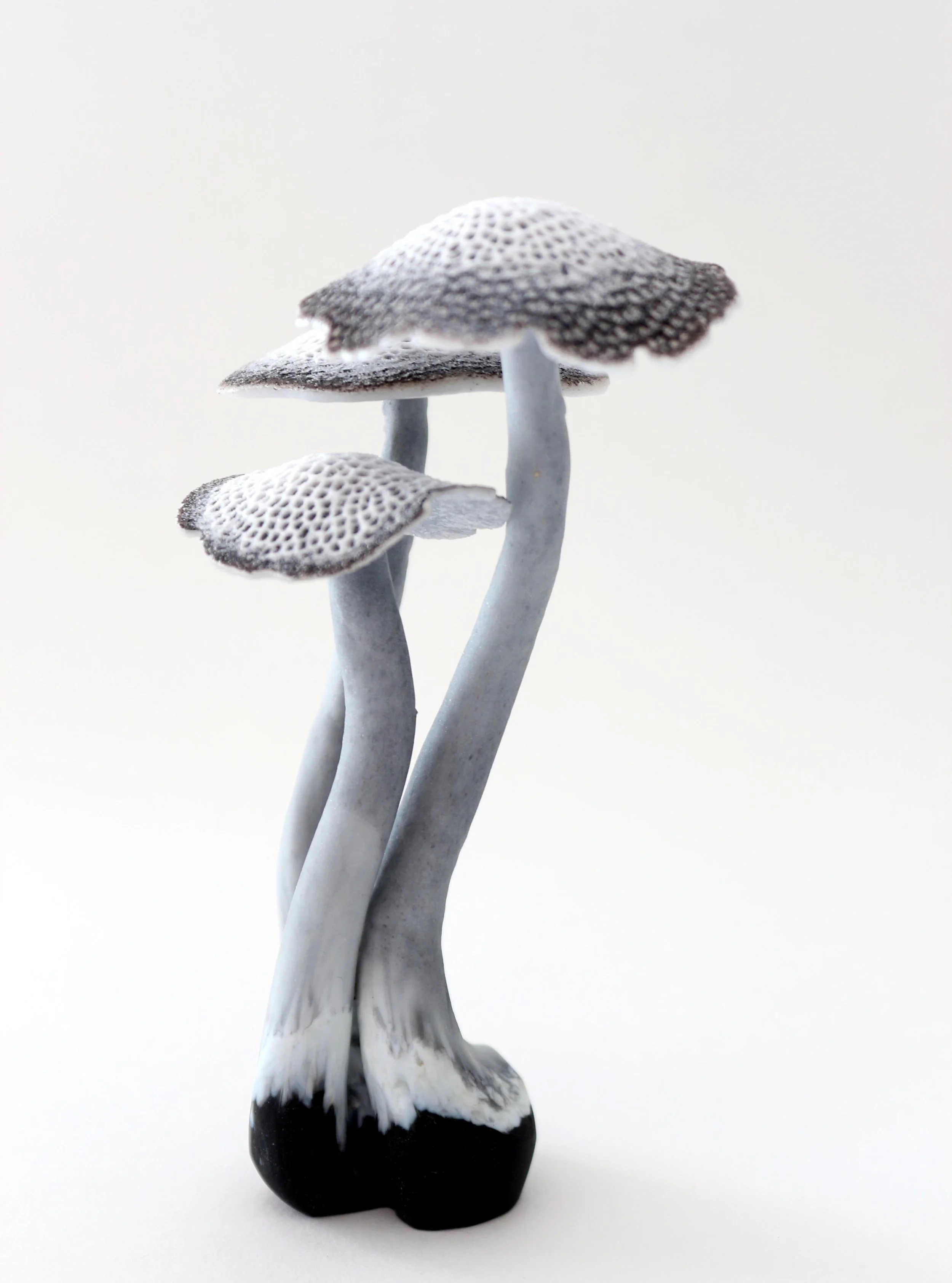 Just added this little mushroom grouping to my new shop on Etsy- follow the link in my bio. 

Made using lost wax casting - first the stalks are made using wax, a mould is made and then the wax is melted out and glass melted in. Layers of colours pro
