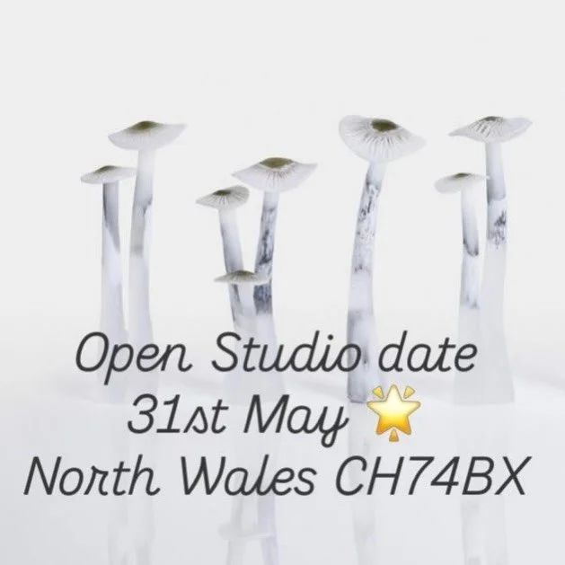 Opening tomorrow 🌟
Follow postcode to The Sun Inn in Eryrys CH74BX and it will be signposted.
❤️