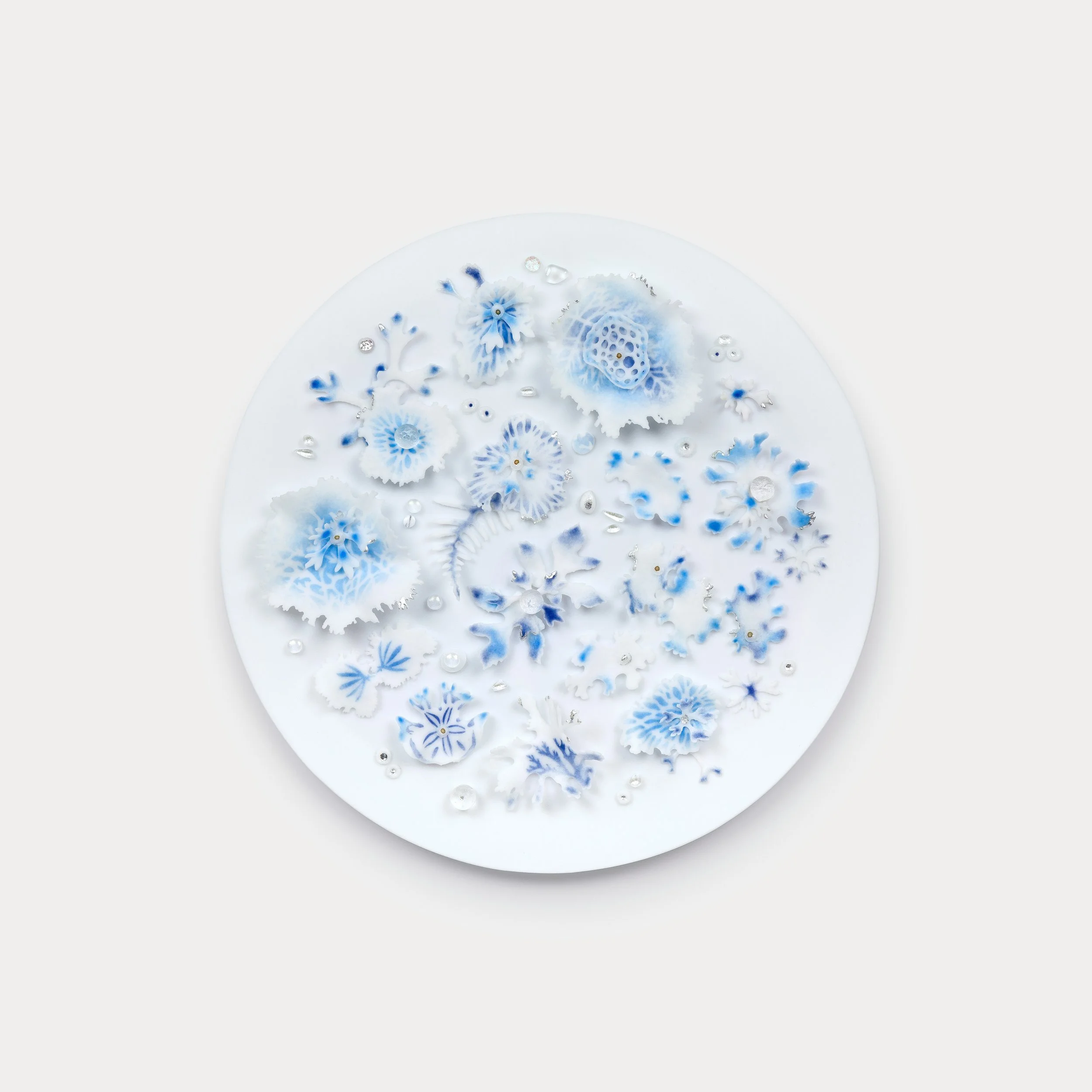 Sea Treasures
