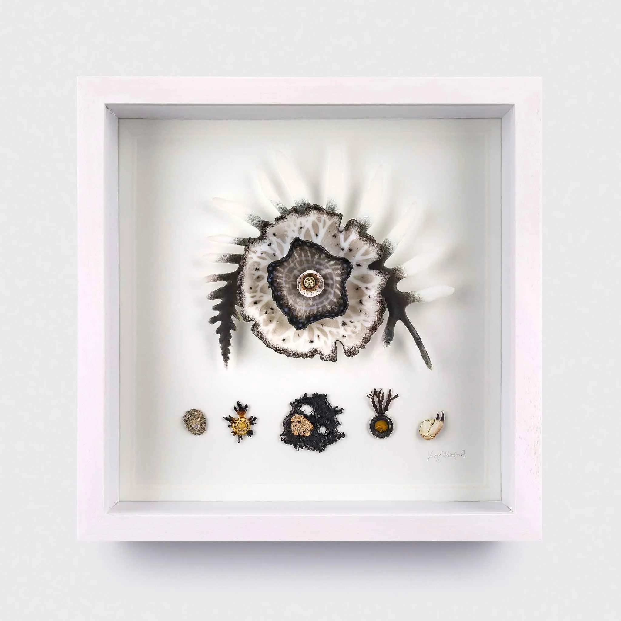 Framed Collection- Fern, Pate de verre glass, microscopic slides and natural found objects, 37x37x7cm