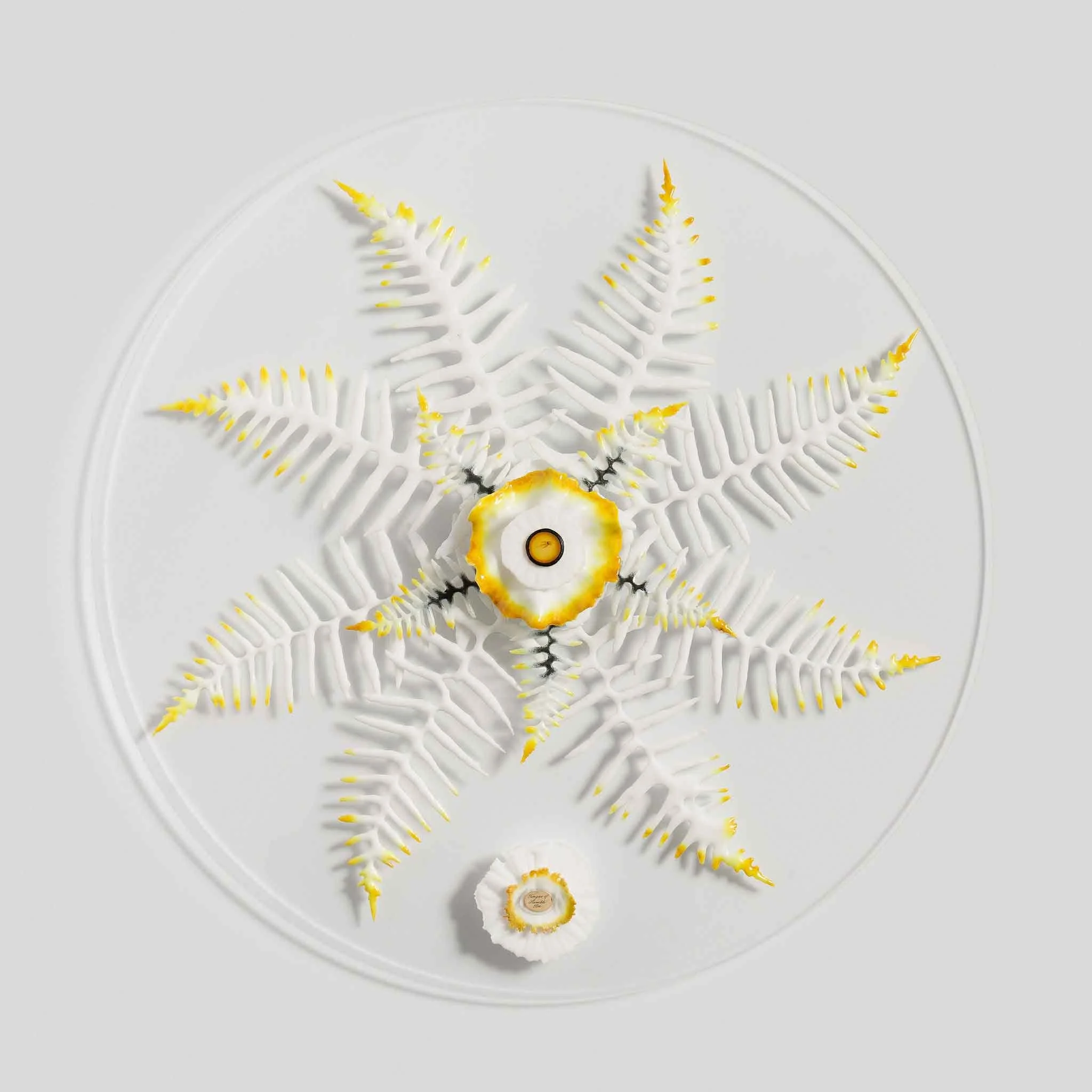 Tongue of Humblebee, Pate de Verre Glass, 57cm dia