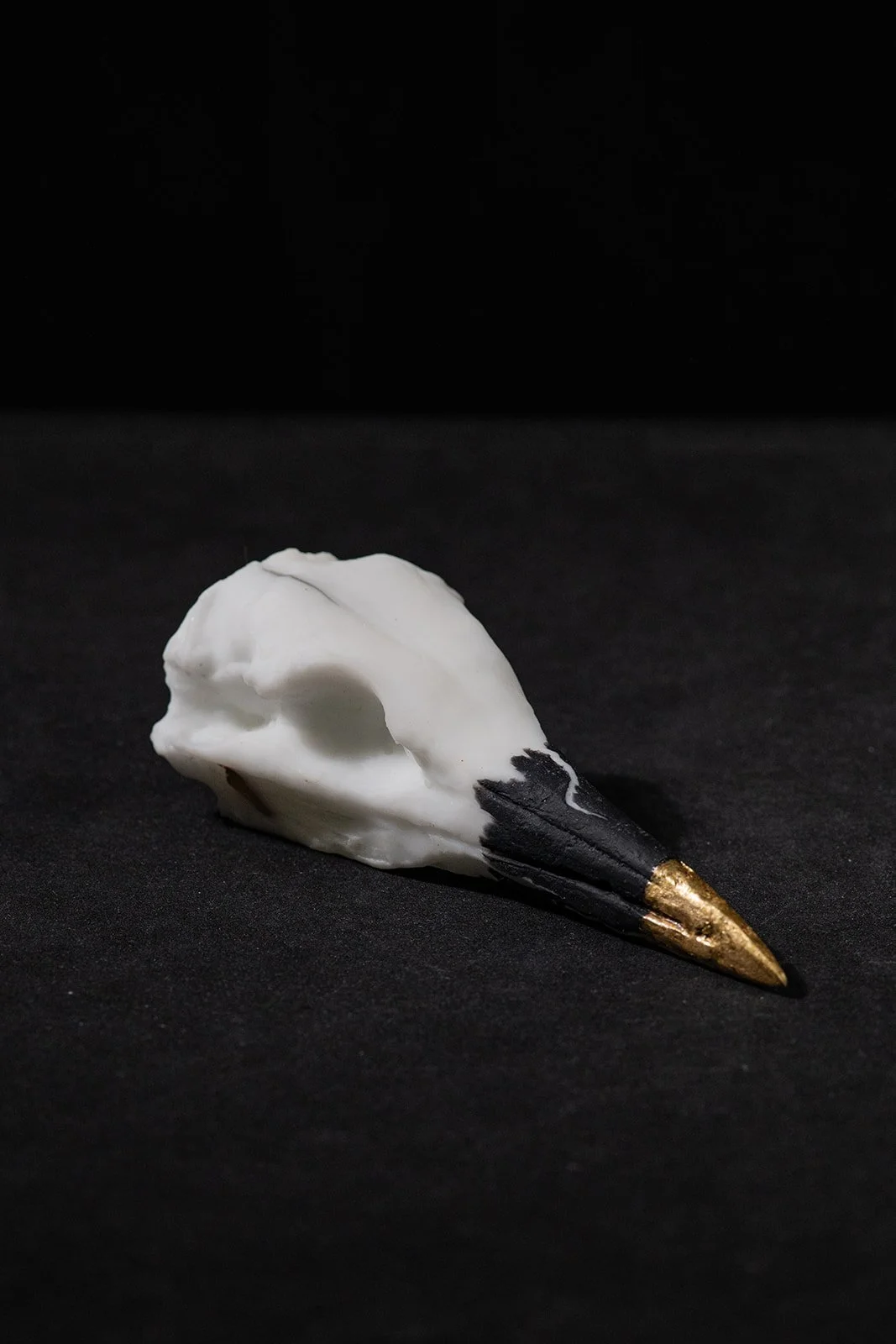 Bird Skulls 1.jpg