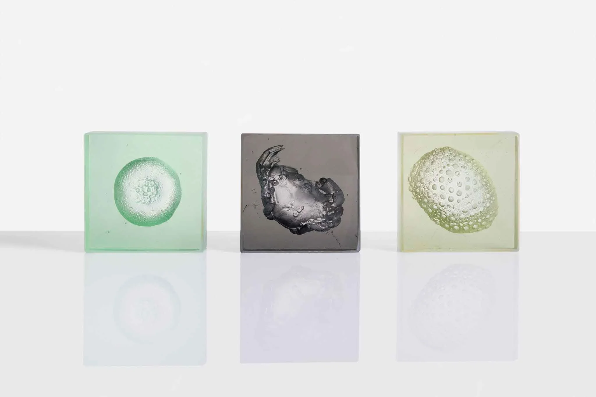 Mutualism Boxes, Core Cast Glass