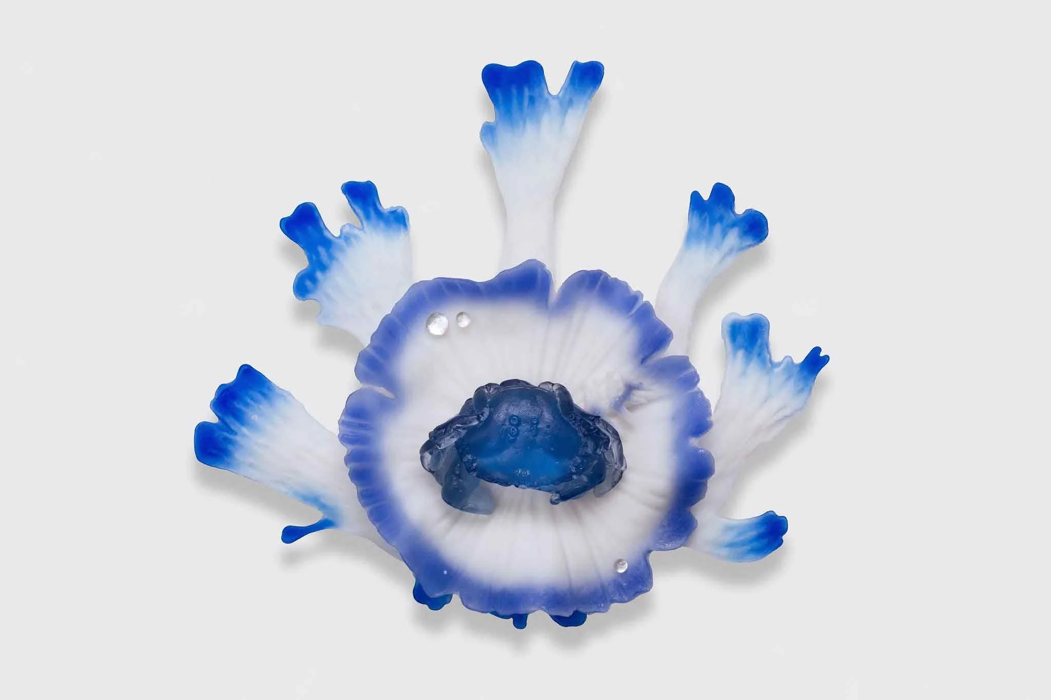 Verity-Pulford-Glass-Artist-Mutualism-Project-(7).jpg