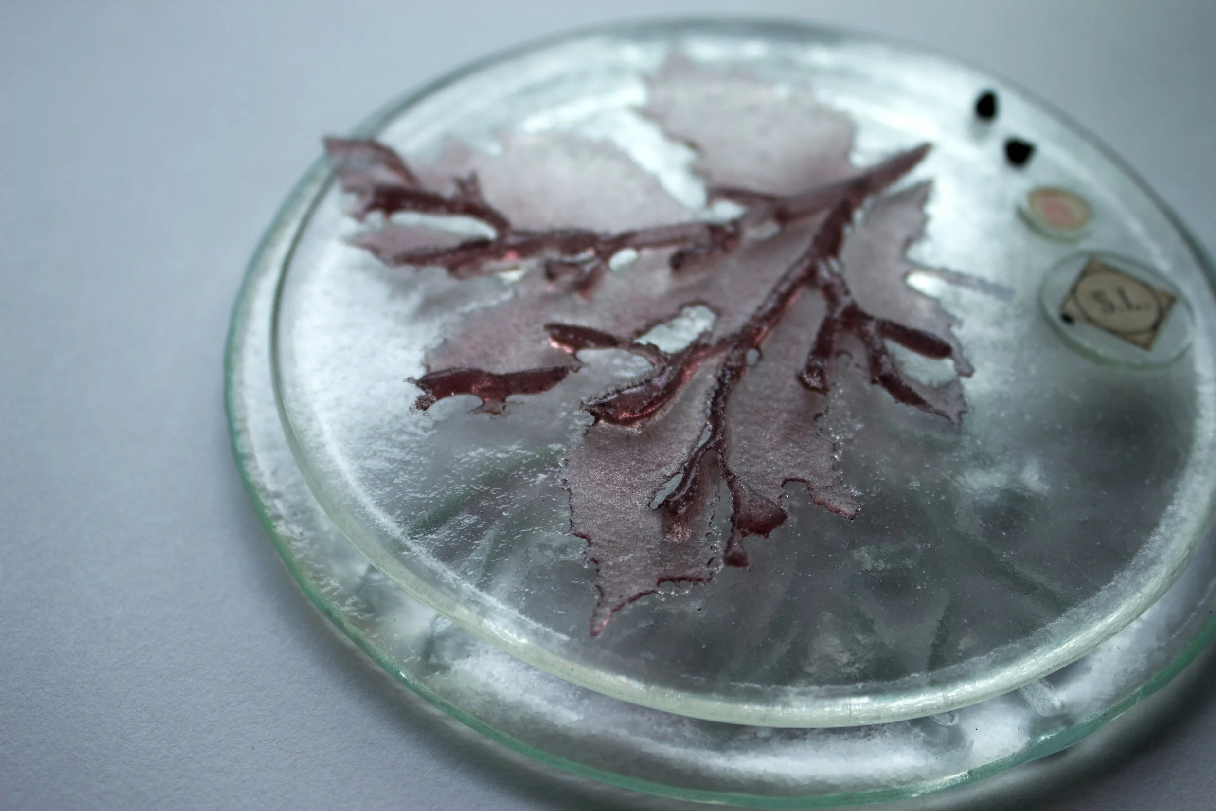 'Gardens of the Mind' Arts Council of Wales Funded Project