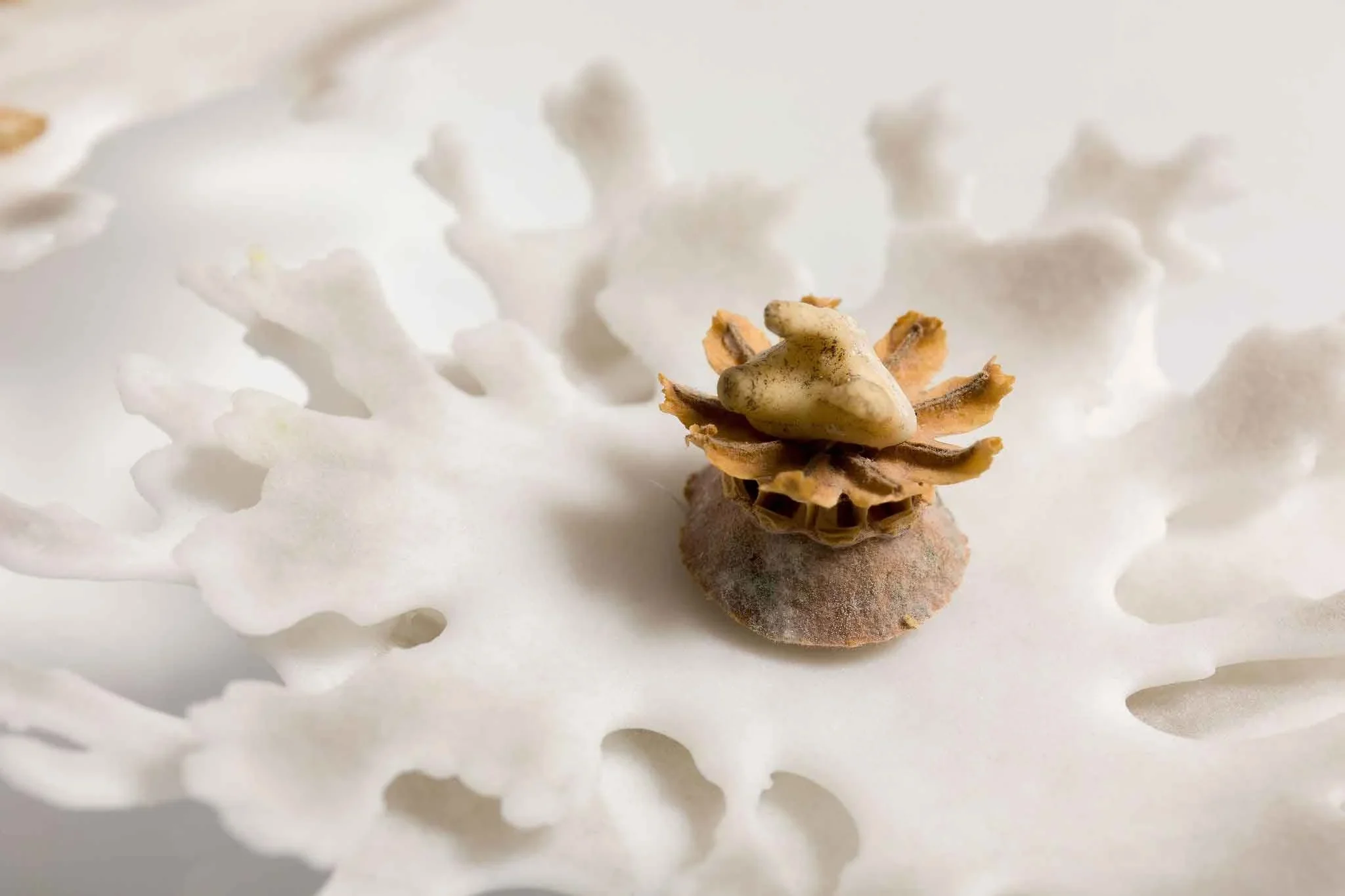 The Love of Small Things, Pate de verre Glass and natural found objects, 57cm dia