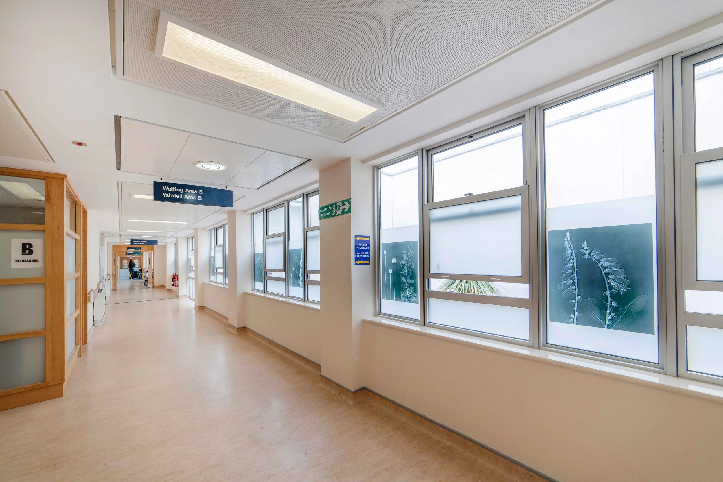 verity-pulford--glan-clwyd-radiology-xray-images-1.jpg