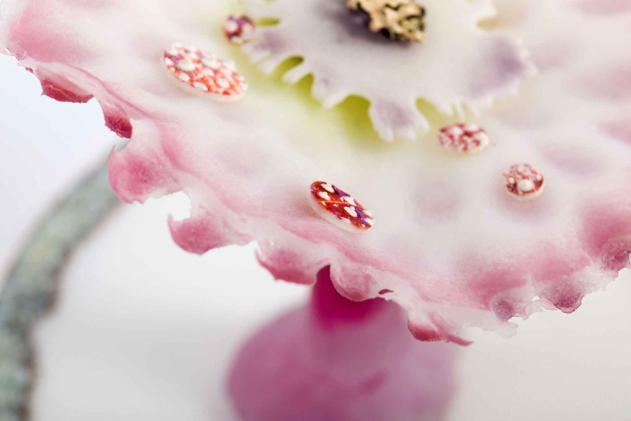 Pink Mushroom, Cast Glass and Pate de Verre Glass, Sea Urchin Shell and Gilding