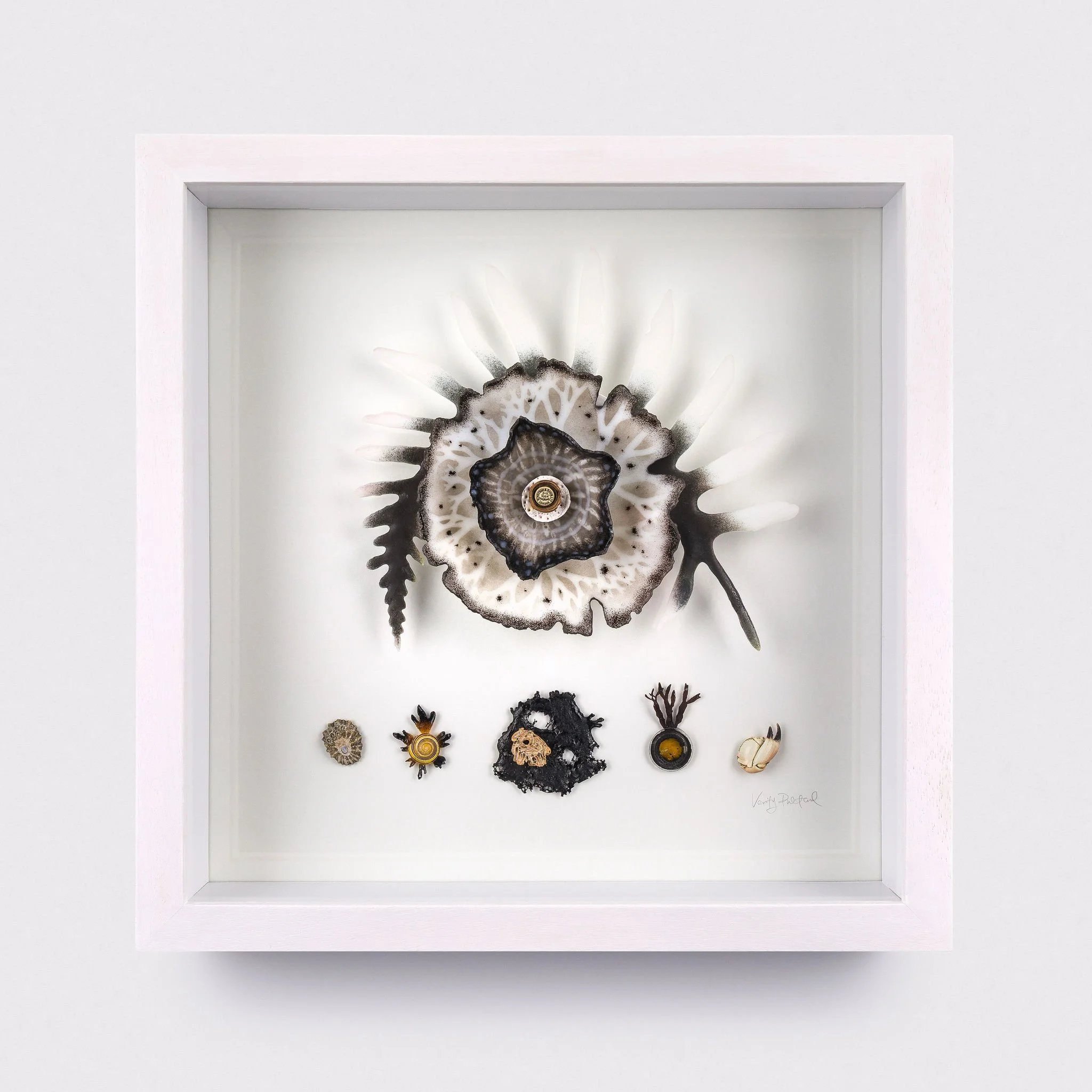 verity pulford glass framed collections.jpg