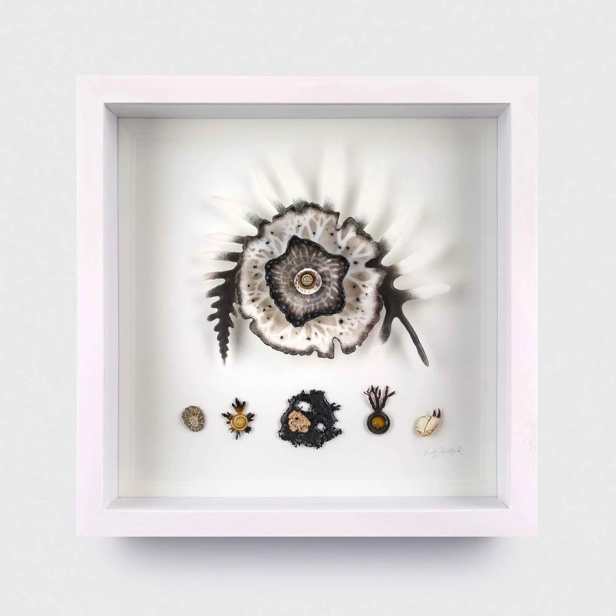 Framed Collection- Fern, Pate de verre glass, microscopic slides and natural found objects, 37x37x7cm