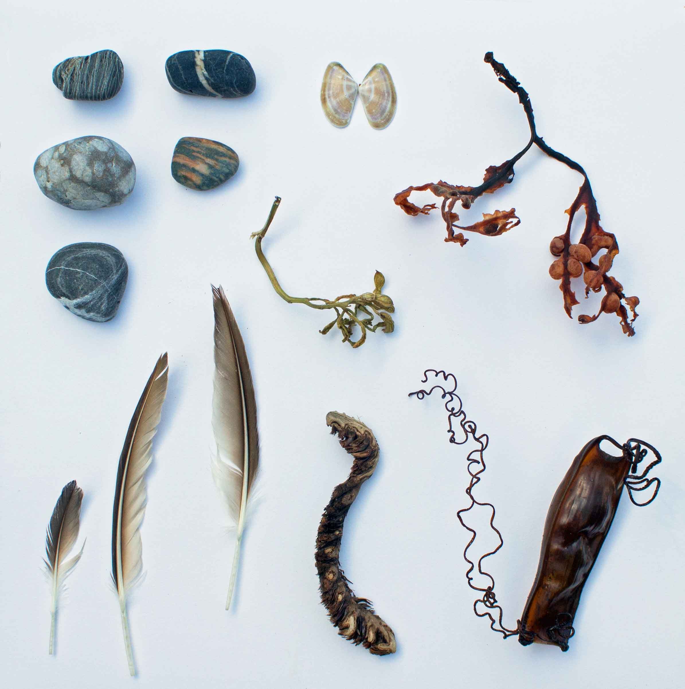 Verity-Pulford-Glass-Artist-Mutualism-Project-Hell's-Mouth.jpg