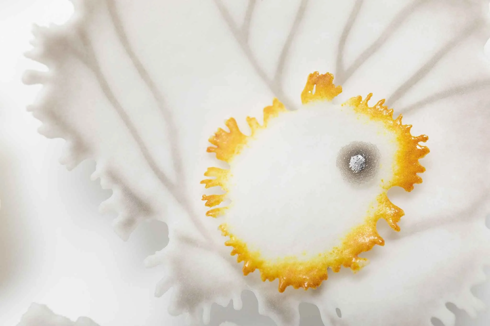 Studies of Lichen, Pate de verre Glass, 57cm dia