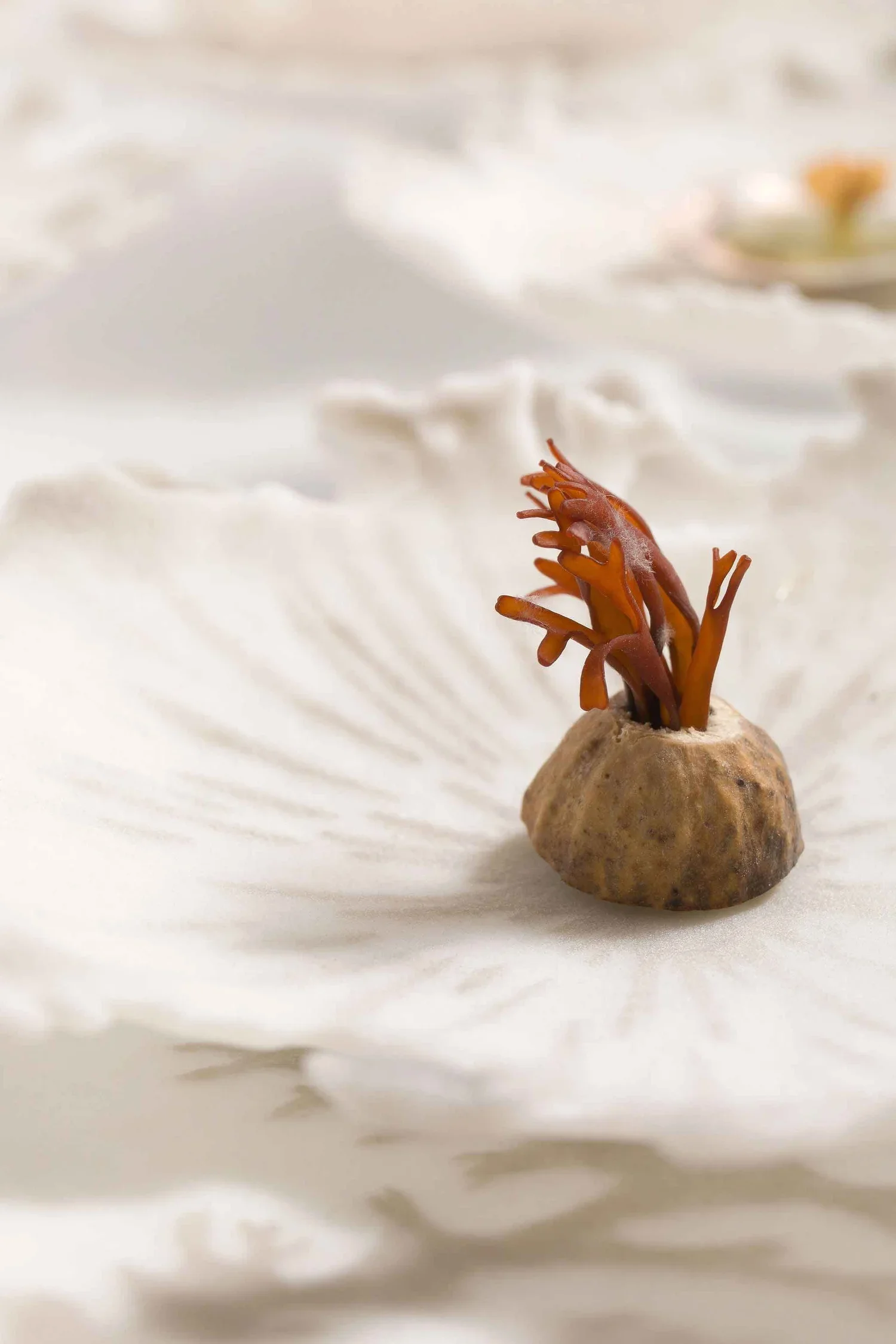 The Love of Small Things, Pate de verre Glass and natural found objects, 57cm dia