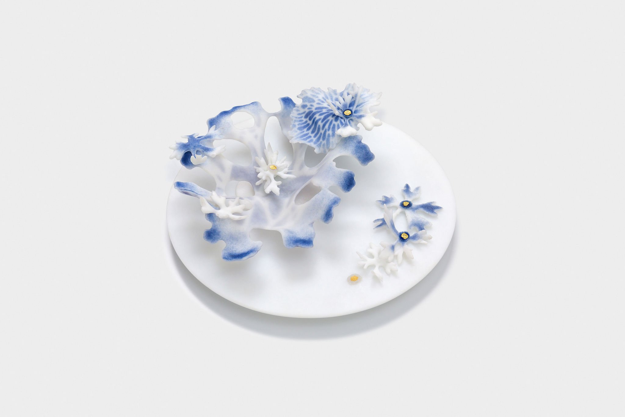 StudiesofLicheninBlueandWhite,2022,20cmdiaeach,patedeverre,2kg,500each (2).jpg