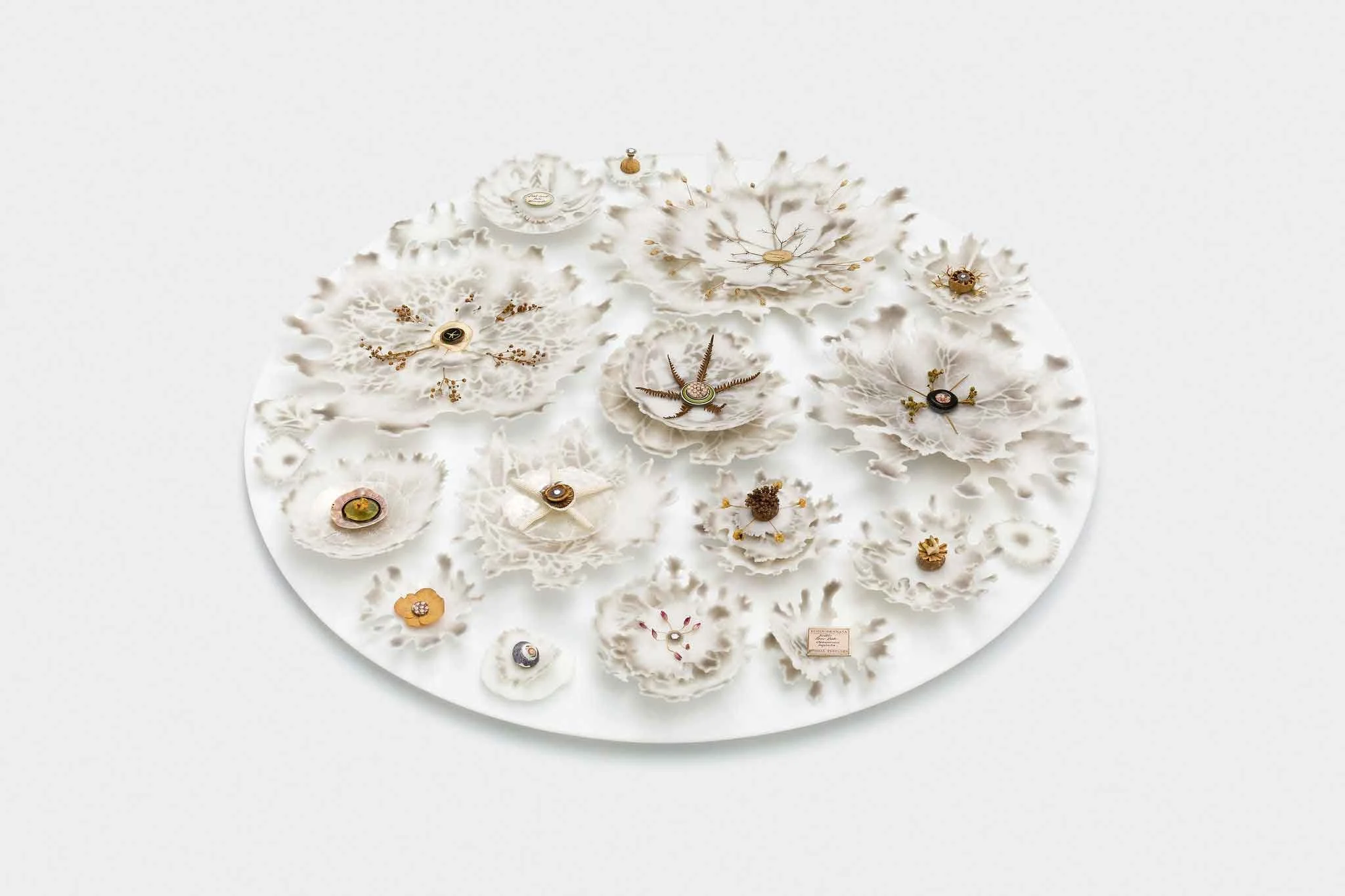 The Love of Small Things, Pate de verre Glass and natural found objects, 57cm dia