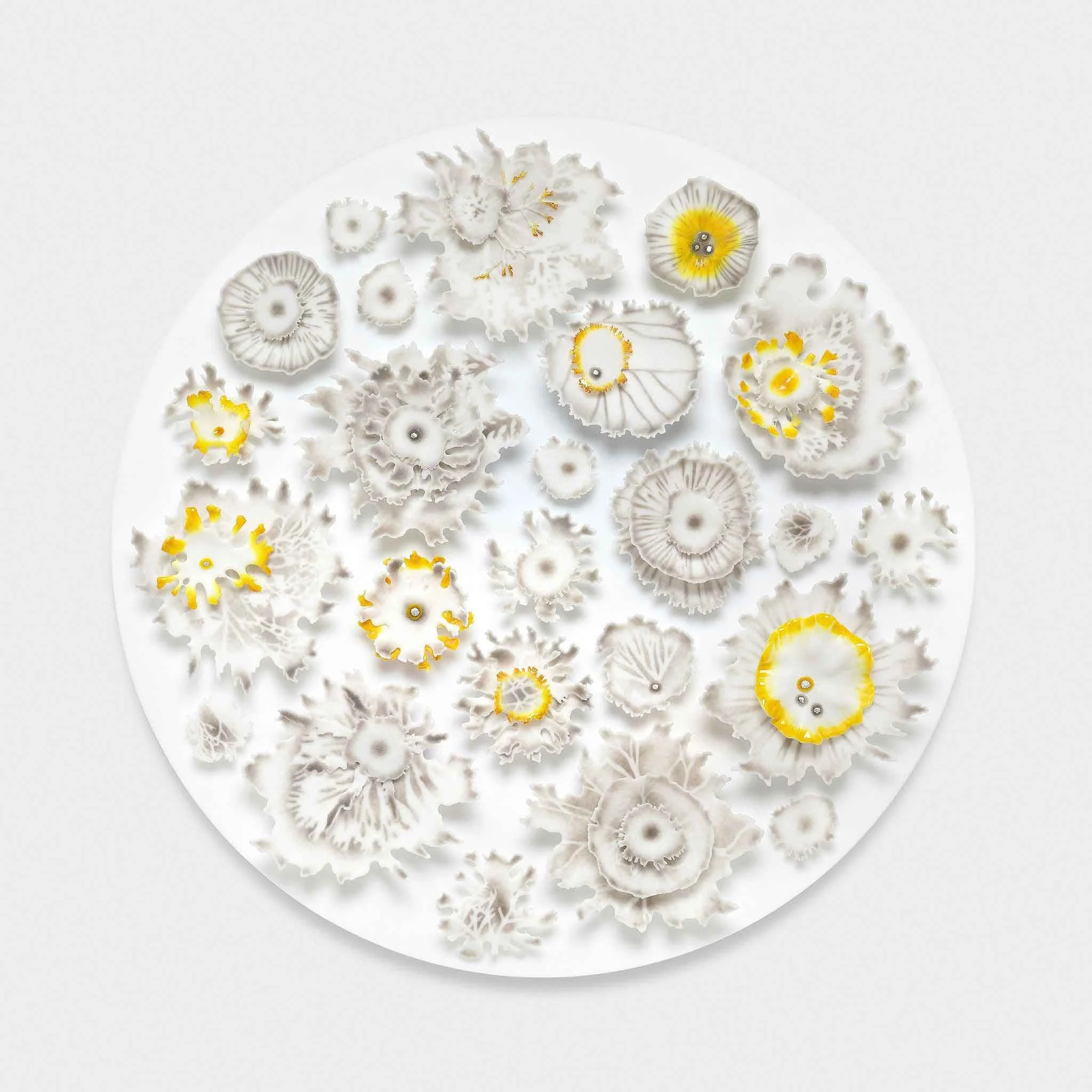 Studies of Lichen, Pate de verre Glass, 57cm dia
