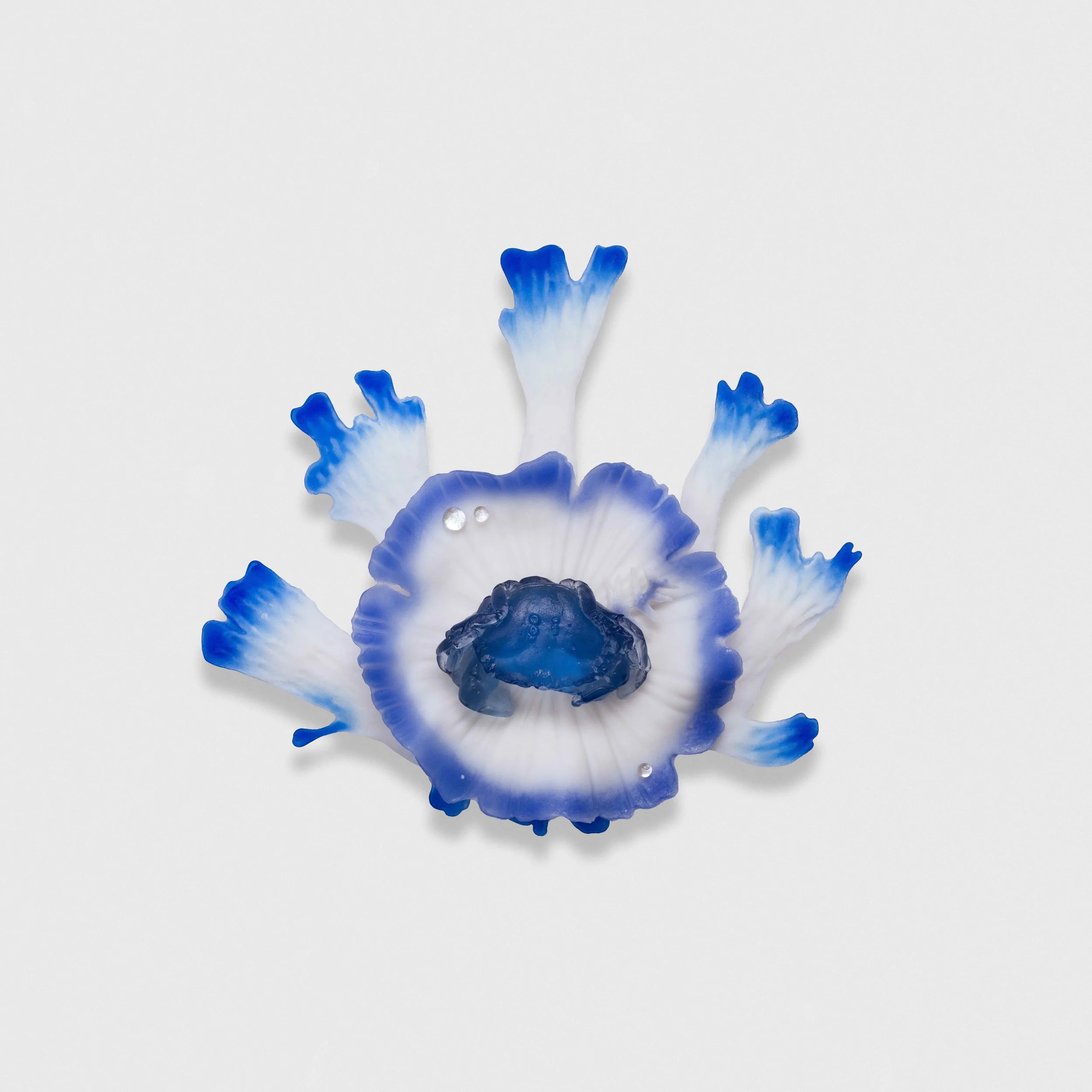 Mutualism- Blue Seaweed with Crab, Pate de Verre Glass, 25x25cm