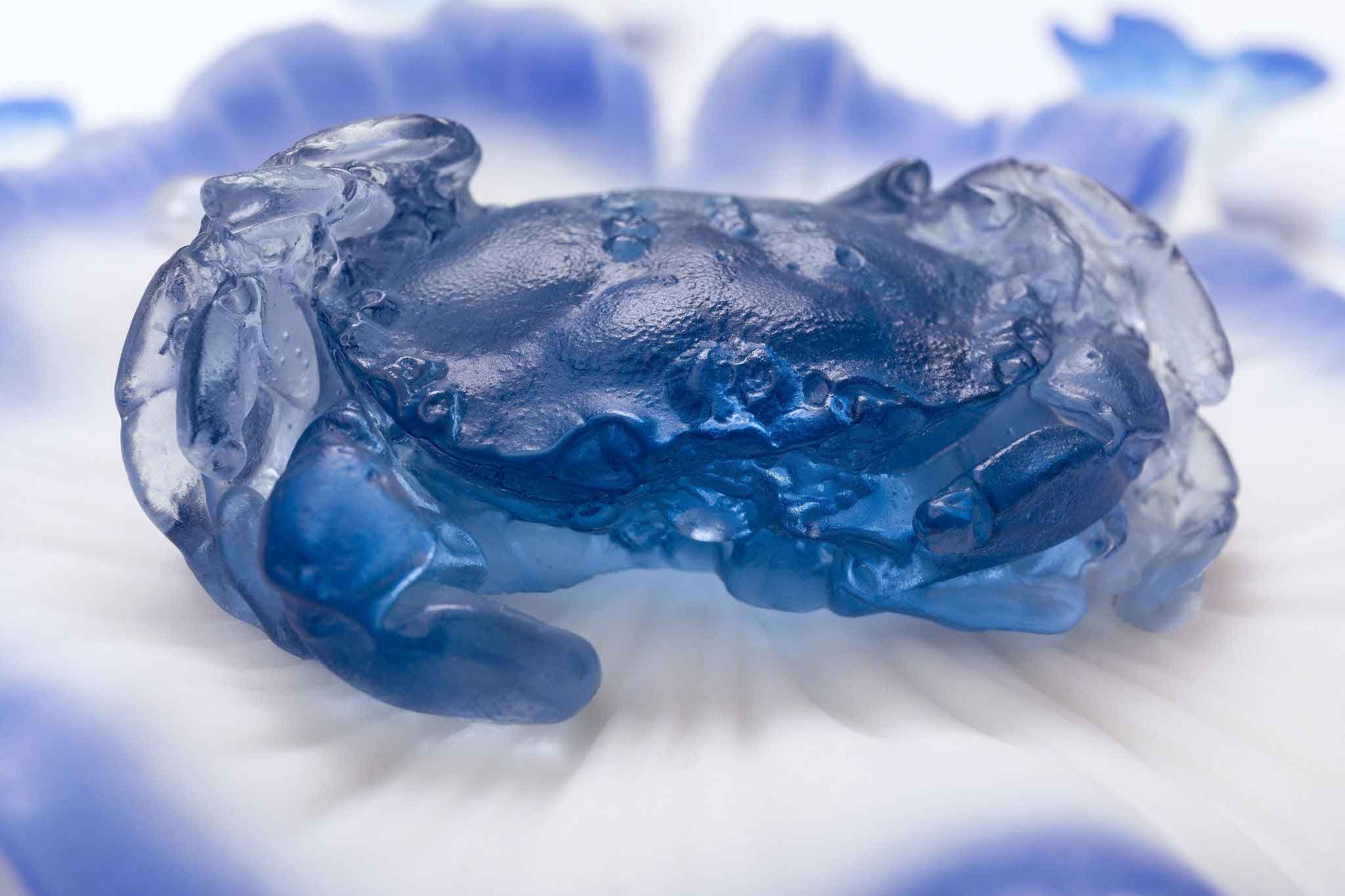 Verity-Pulford-Glass-Artist-Mutualism-Project-(8).jpg