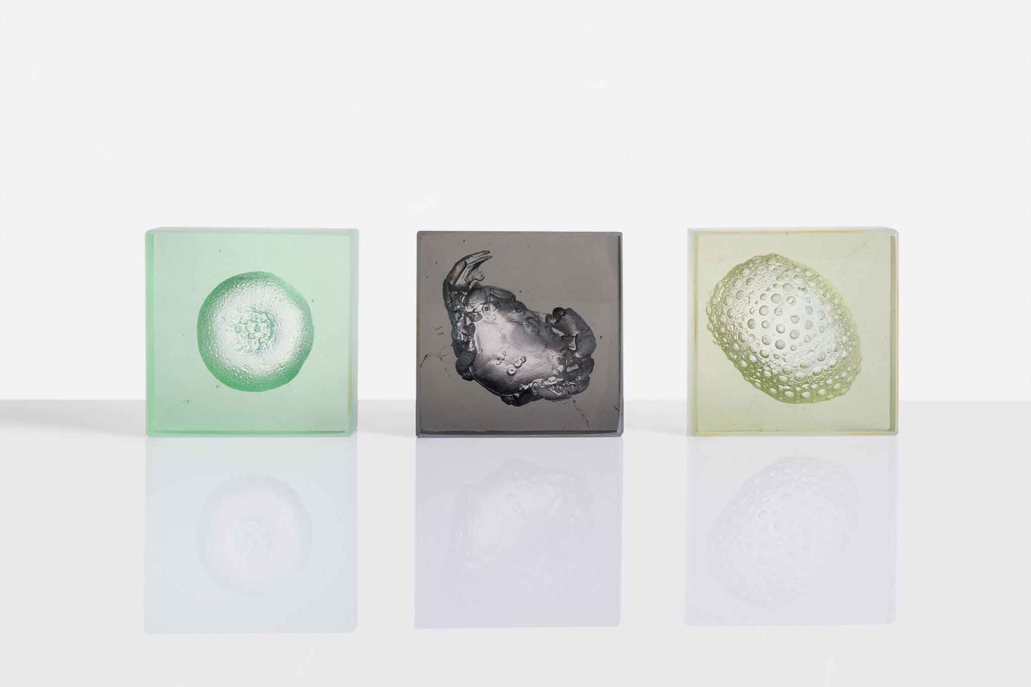 Mutualism Boxes, Core Cast Glass
