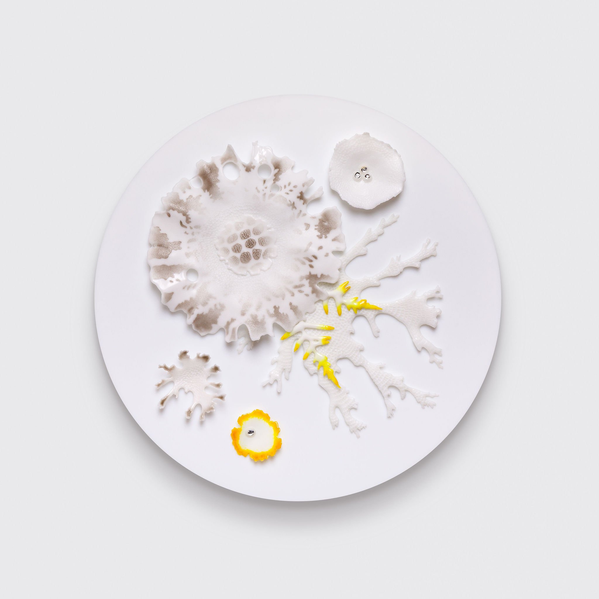 'Coralline' 40dia x 10cm Luxury Cruise Project