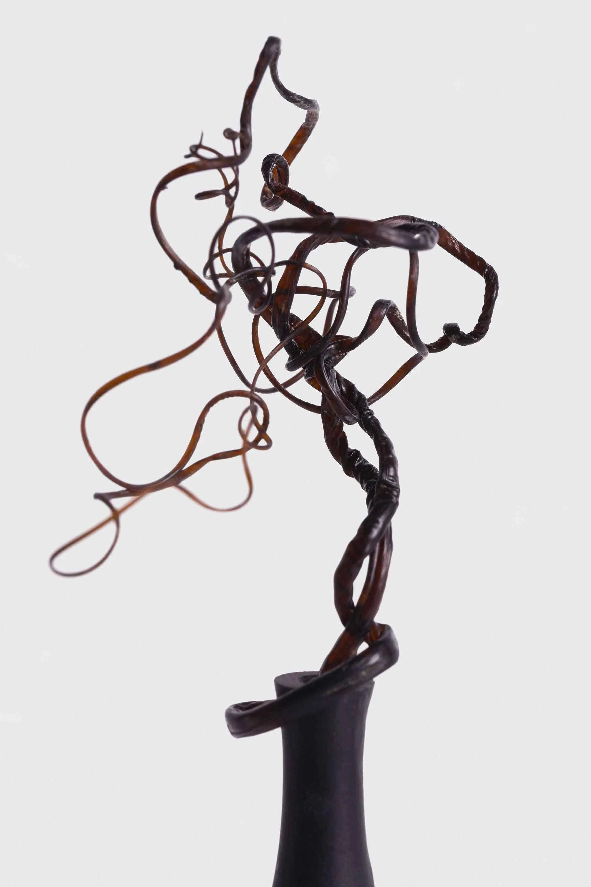 Verity-Pulford-Glass-Artist-Mutualism-Project-(12).jpg