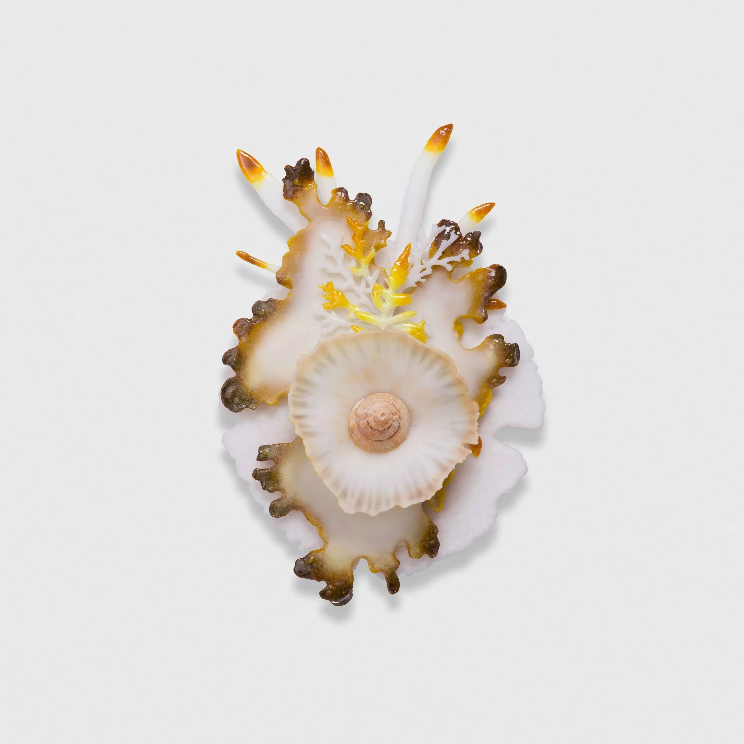 Mutualism- Yellow with Shell, Pate de Verre Glass, 25x15cm