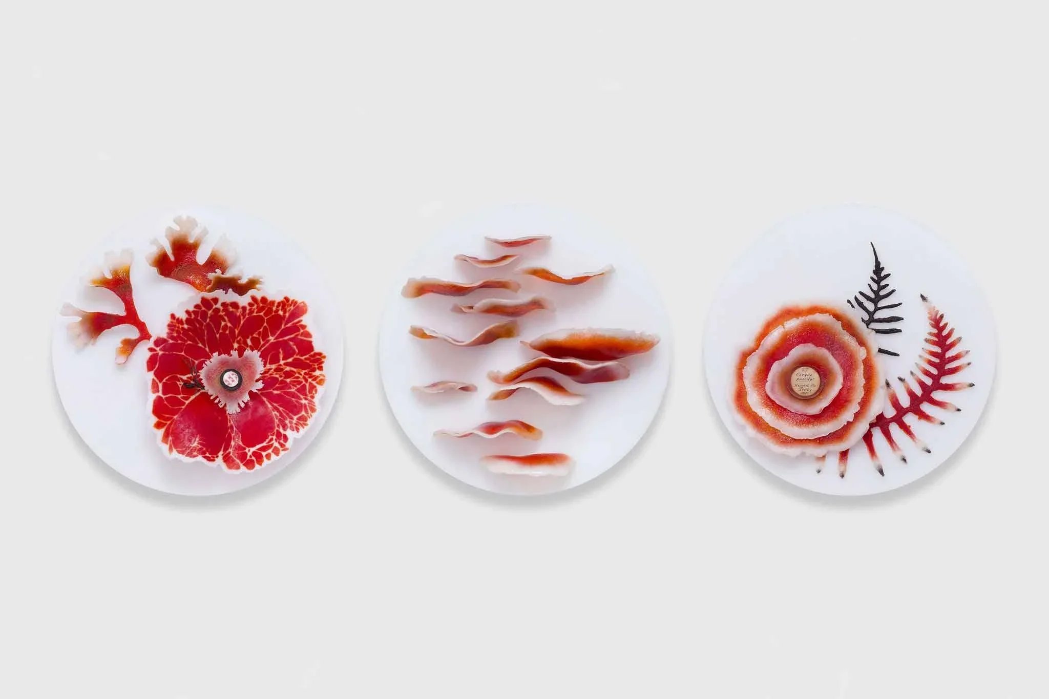 Mutualism- Red Studies, Pate de Verre Glass, 20cm dia
