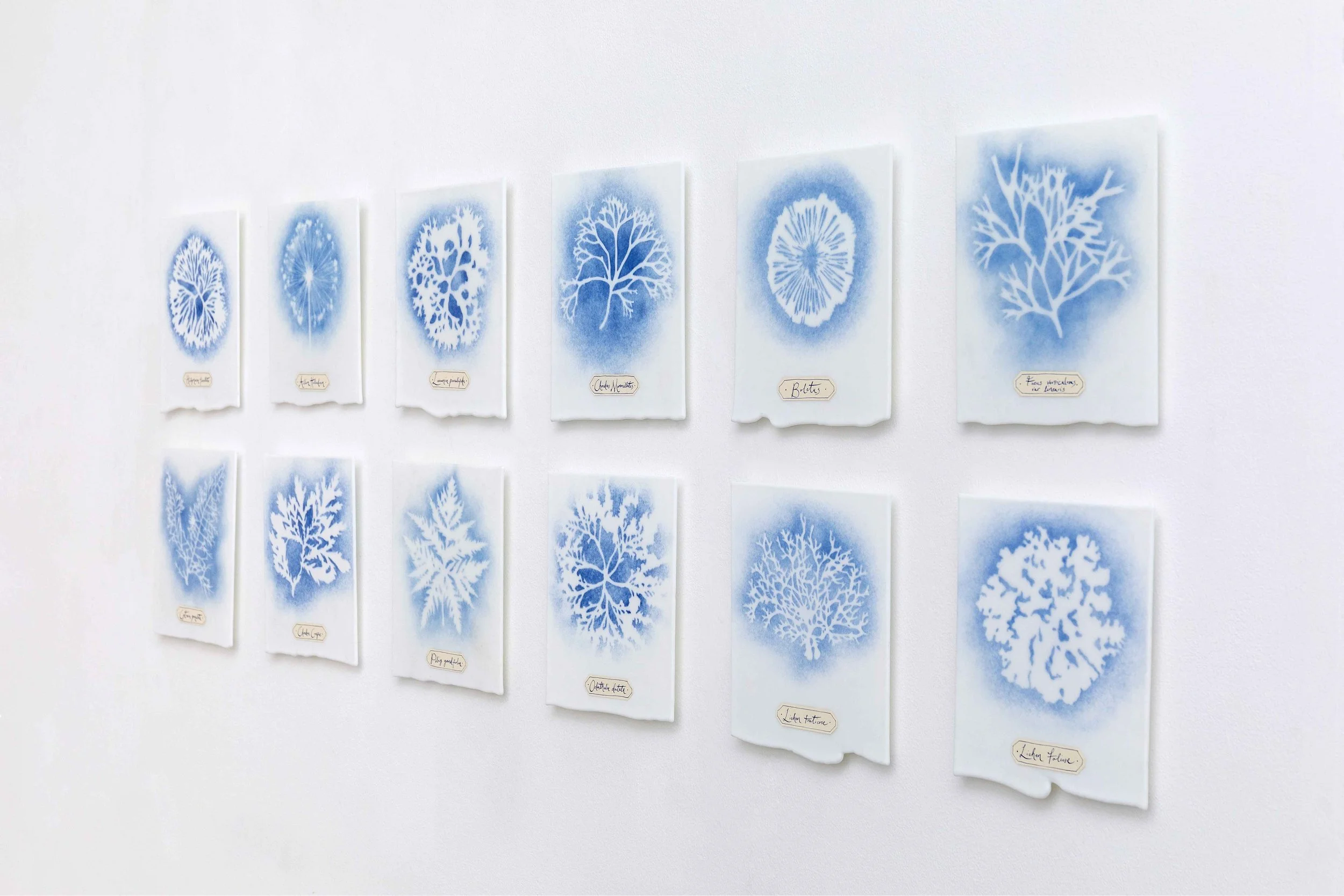 Verity-Pulford-Gardens-of-the-Mind-Ruthin-Craft-Centre-glass-artist-(5).jpg