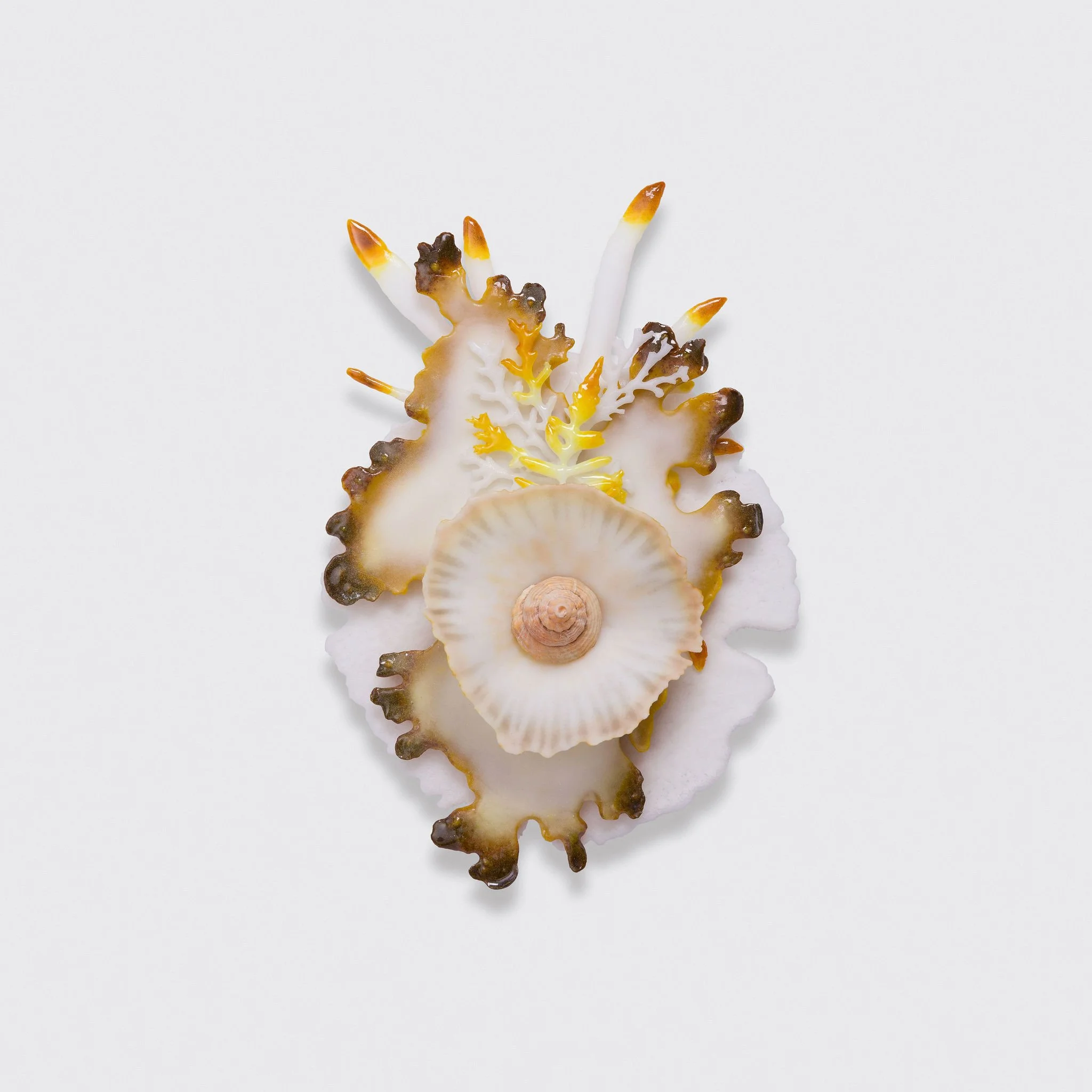 verity pulford glass artist (44).jpg