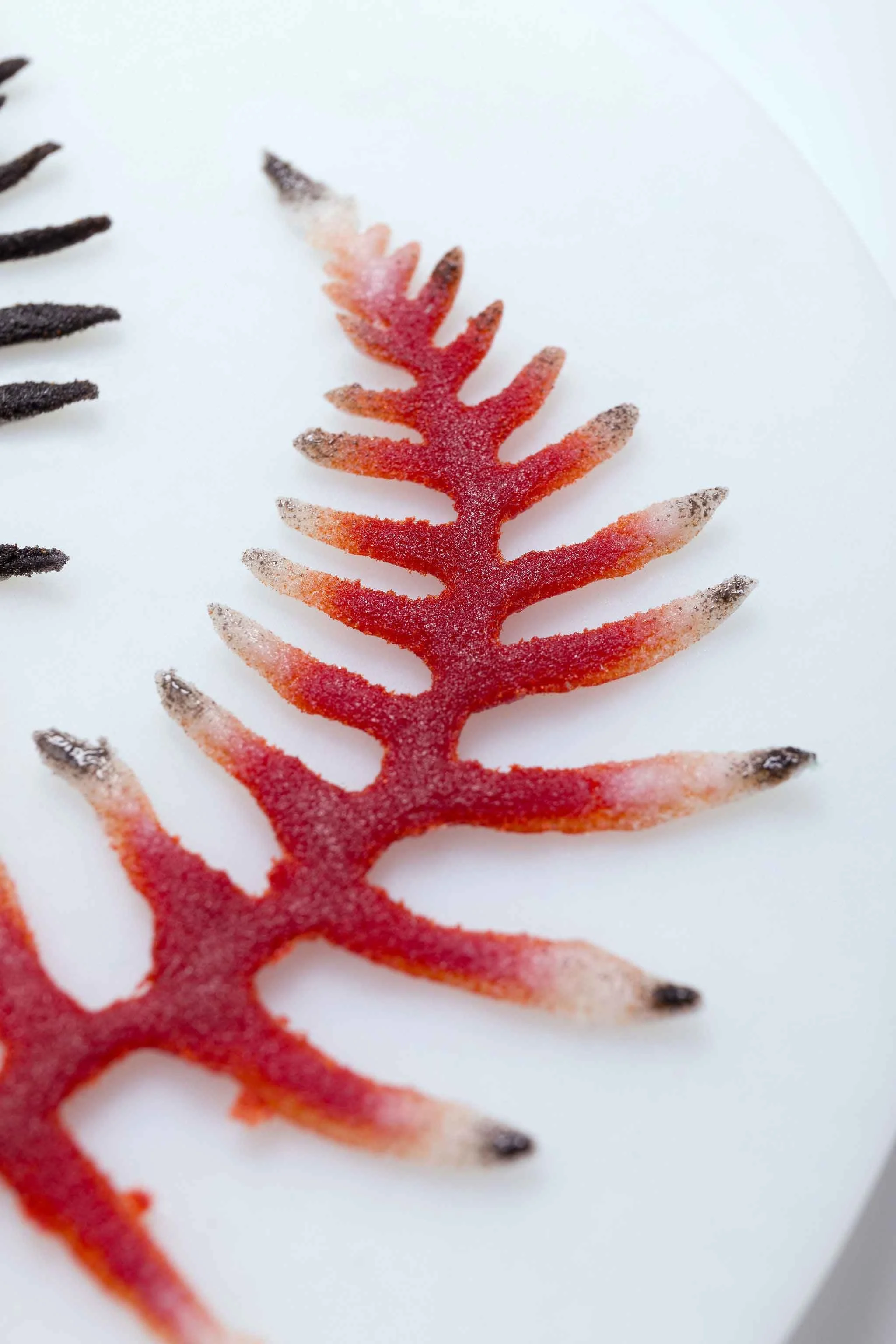 Verity-Pulford-Glass-Artist-Mutualism-Project-(3).jpg
