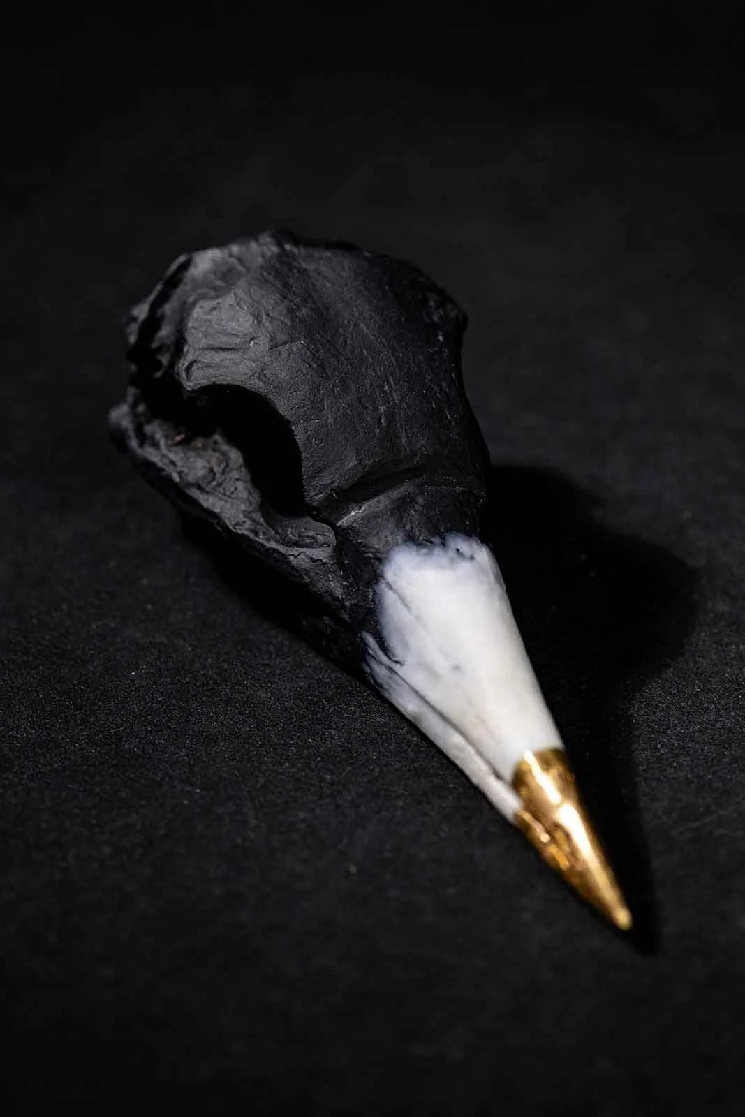 Northlands Bird Skull, Cast Glass and Gilding