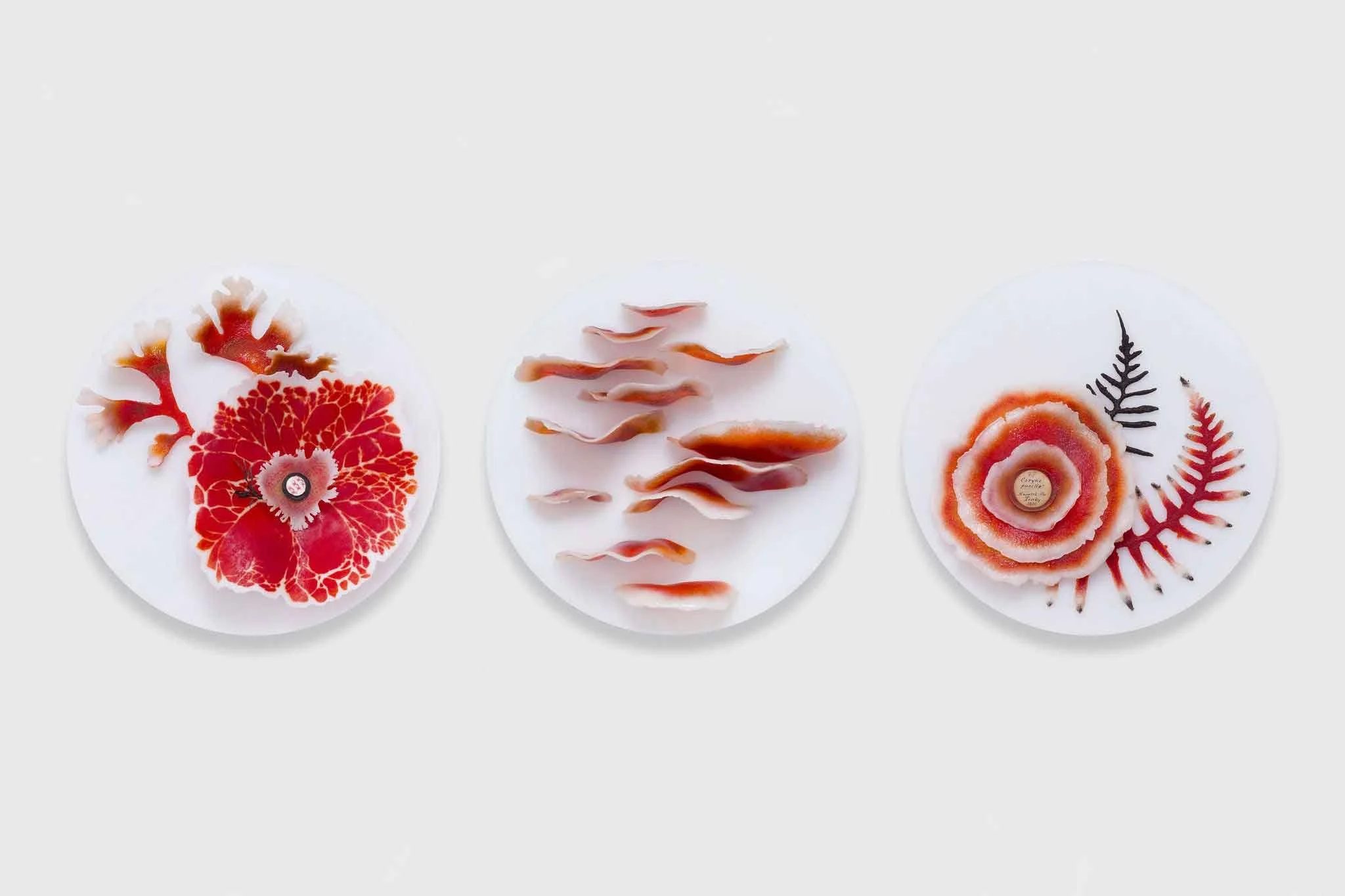 Verity-Pulford-Glass-Artist-Mutualism-Project-(2).jpg