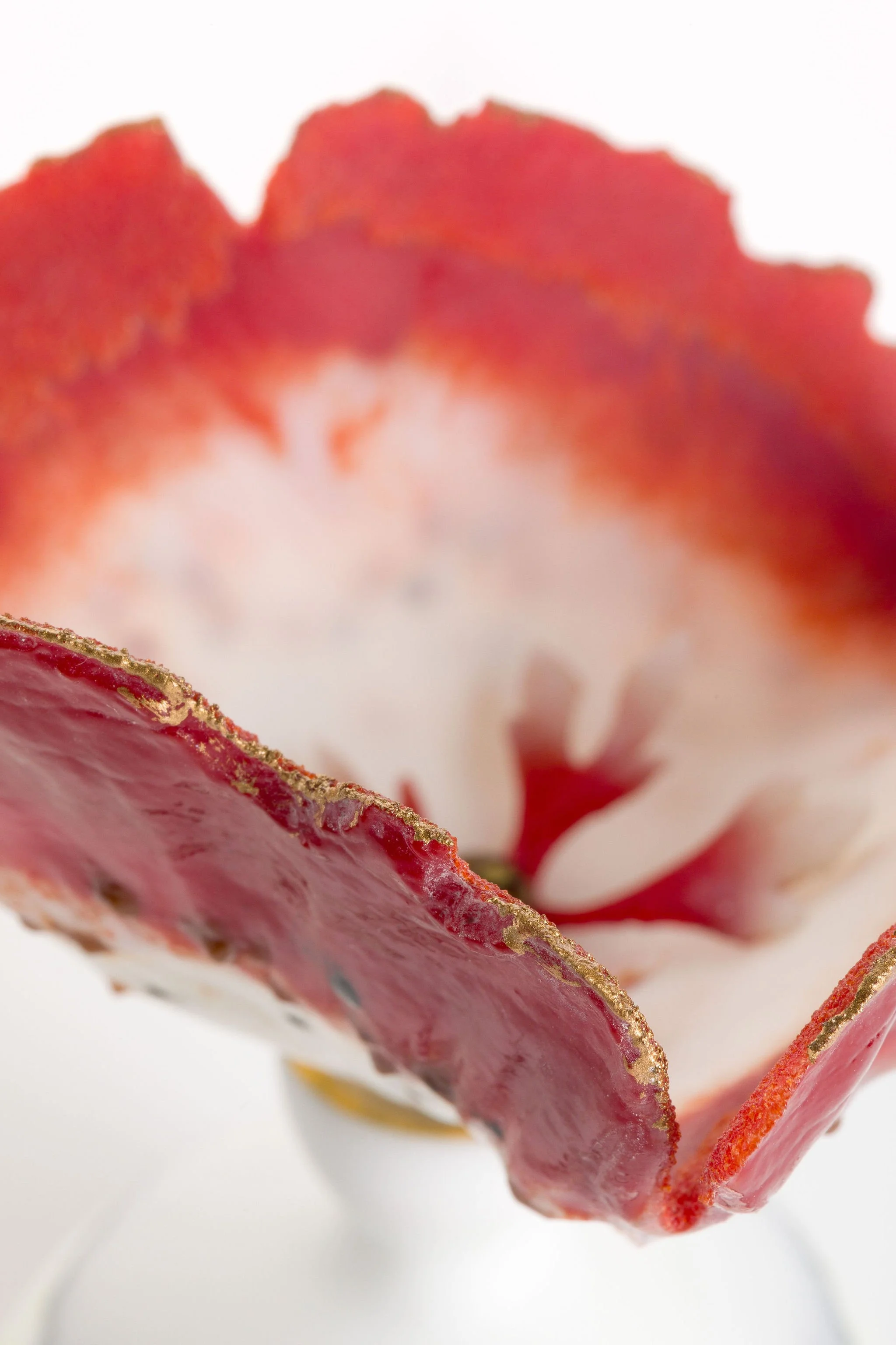 verity pulfor cast glass mutualism bottles (2).jpg