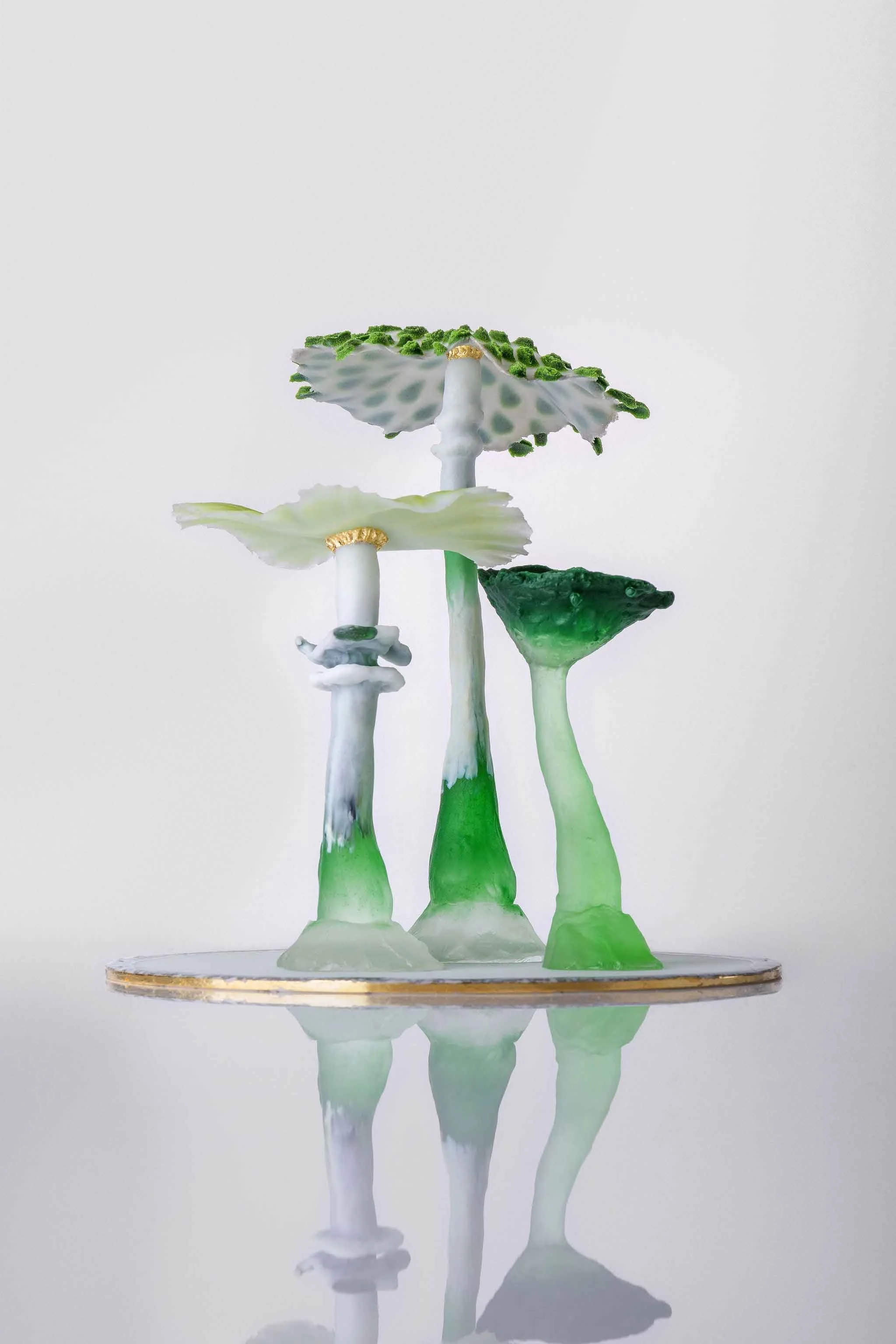 Northlands Mushrooms, Cast and Pate de Verre Glass