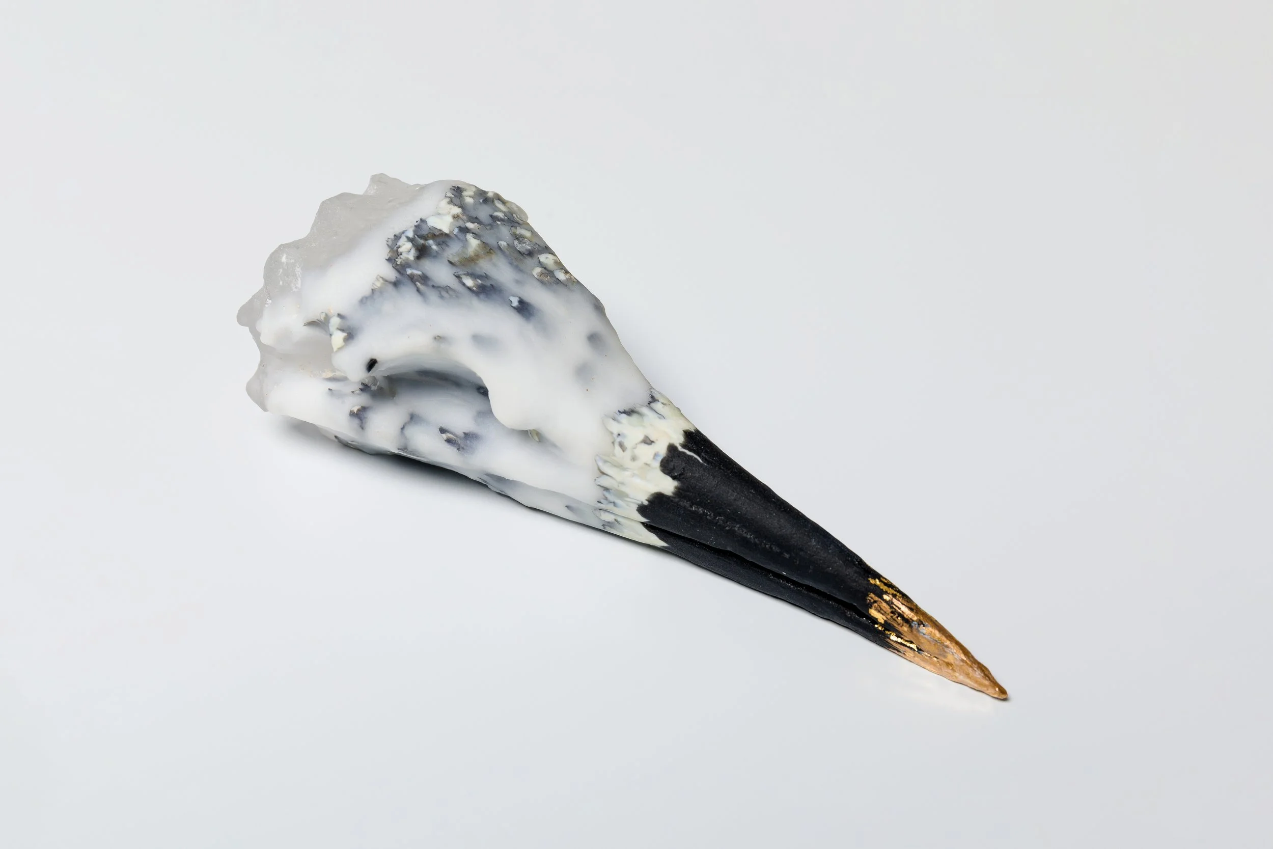 Verity Pulford Cast Glass  Bird Skull.jpg