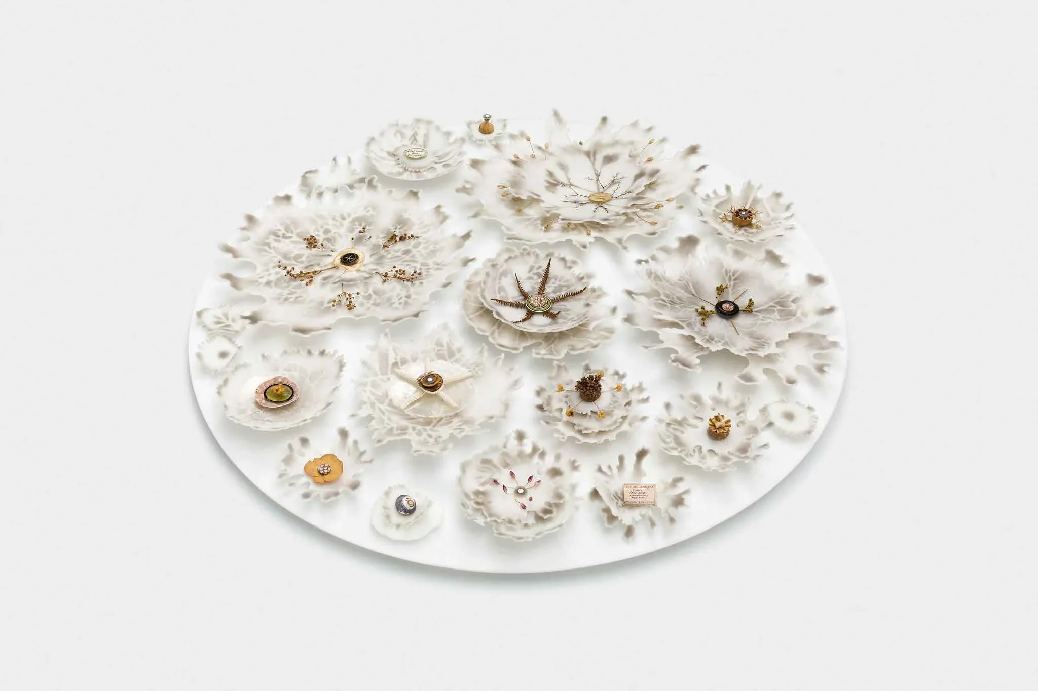 The Love of Small Things, Pate de verre Glass and natural found objects, 57cm dia