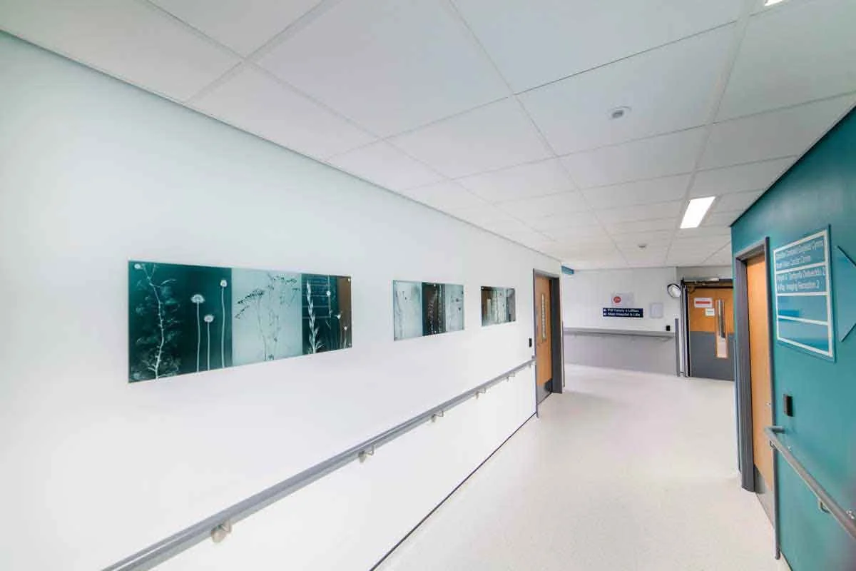 verity-pulford--glan-clwyd-radiology-xray-images-2-web.jpg