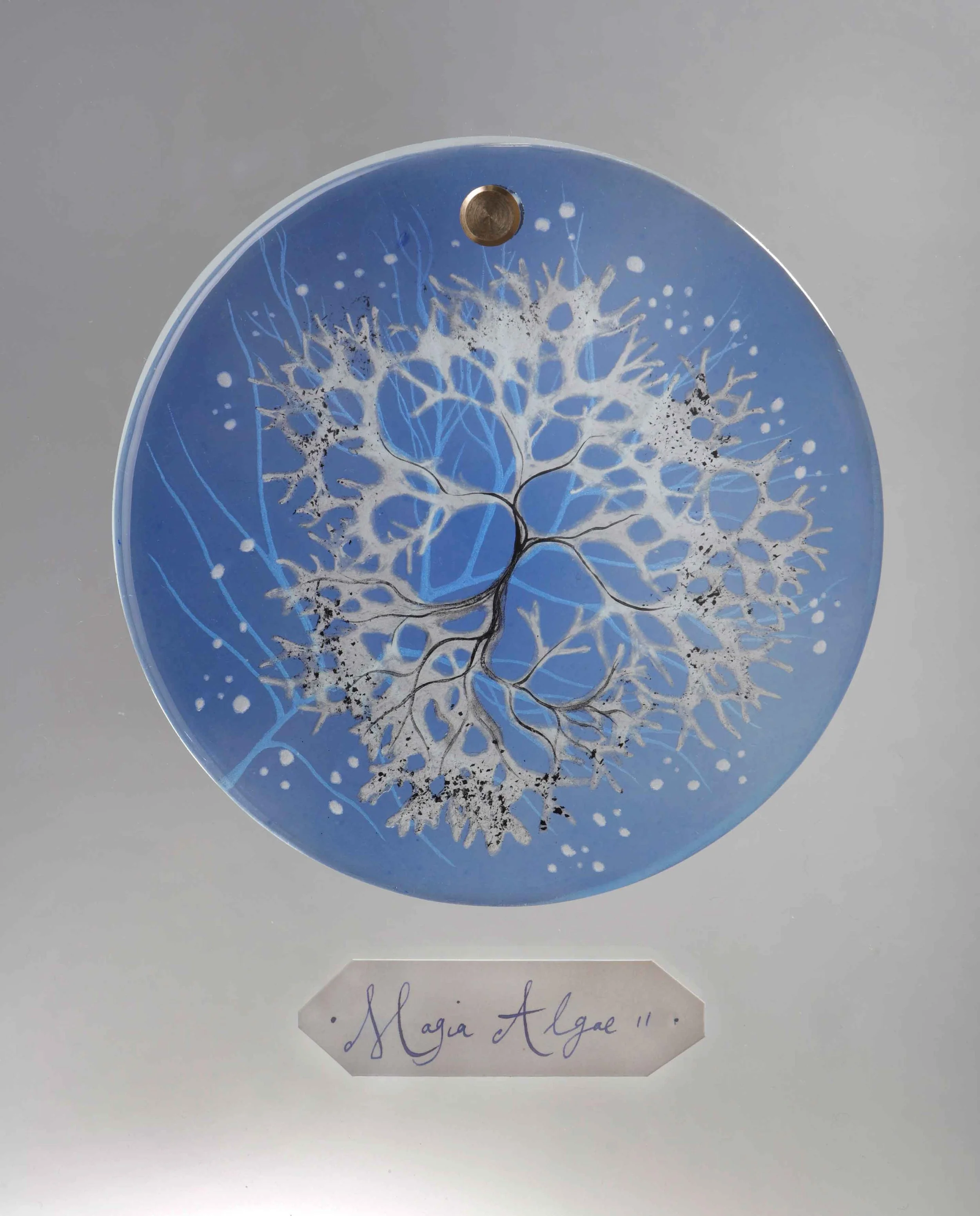 Verity-Pulford-Gardens-of-the-Mind-Arts-Council-of-Wales-glass-artist-(16).jpg