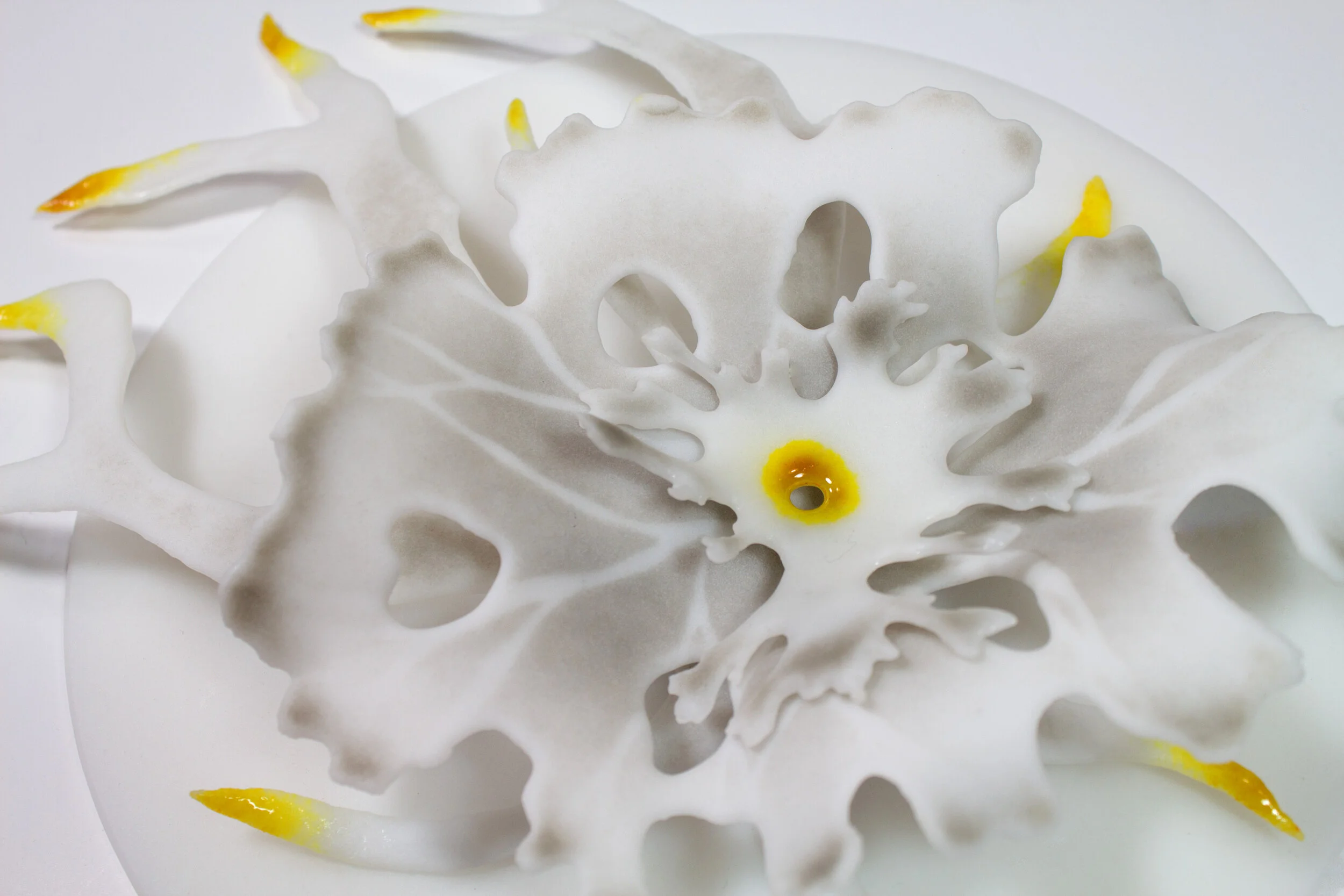 Studies of Lichen detail2- Verity Pulford.jpg