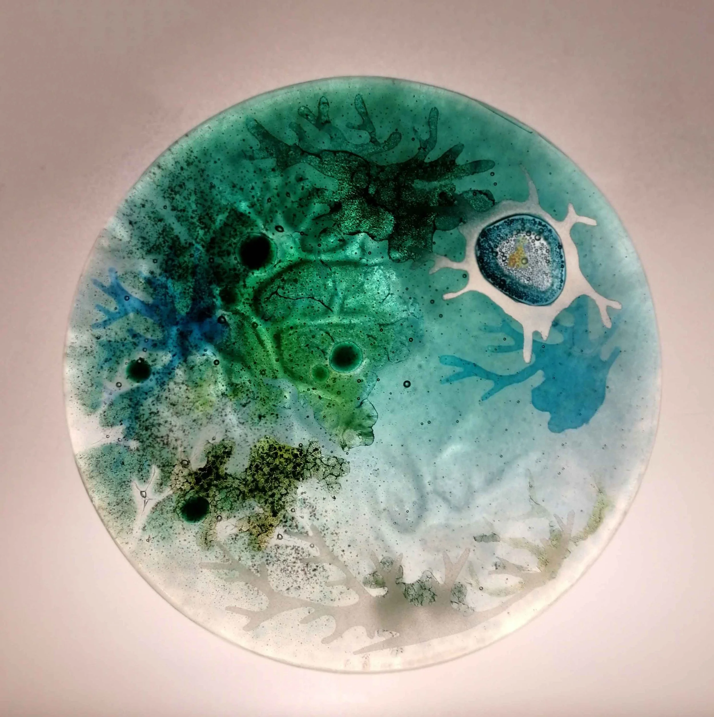 Verity-Pulford-Gardens-of-the-Mind-Arts-Council-of-Wales-glass-artist-(9).jpg