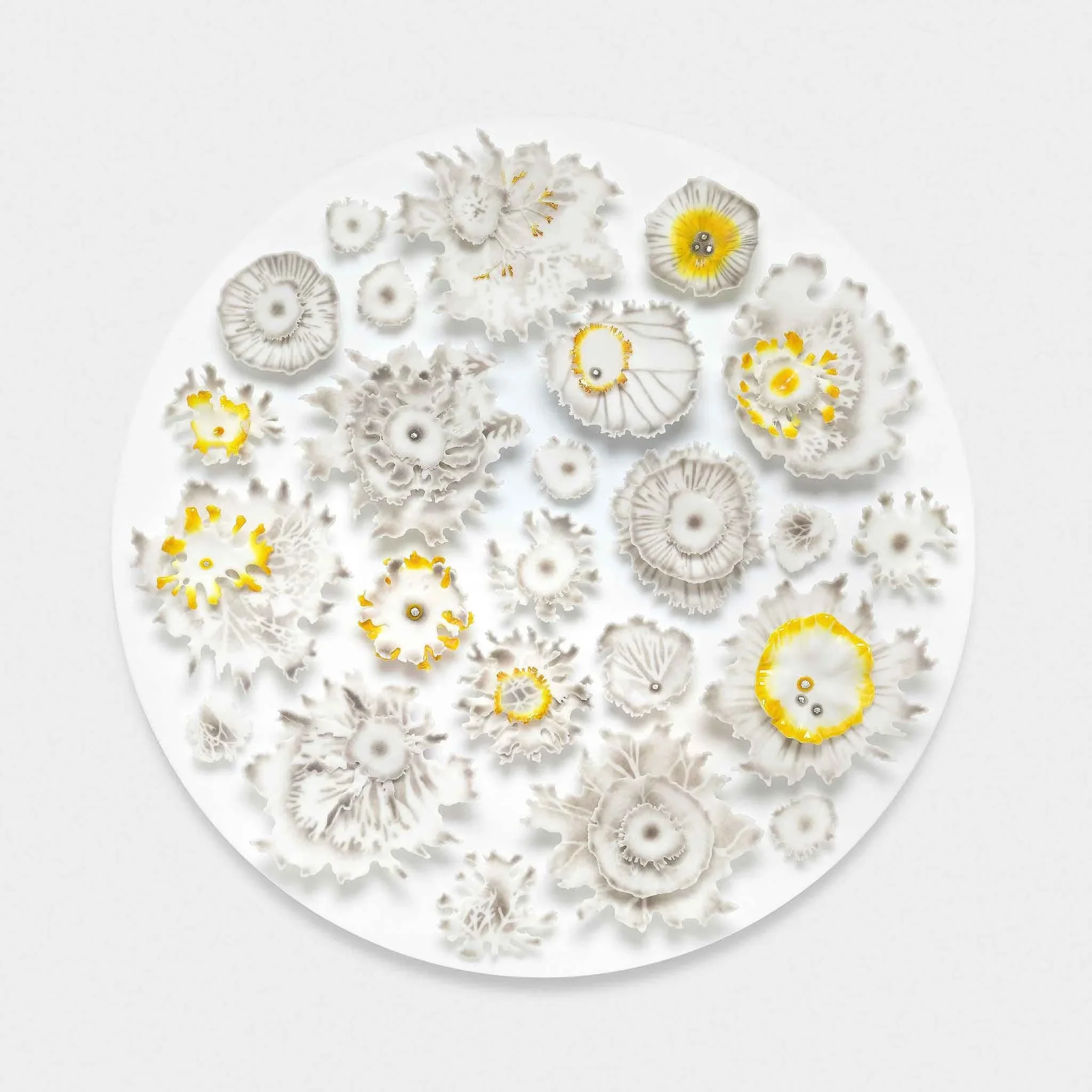 Studies of Lichen, Pate de verre Glass, 57cm dia