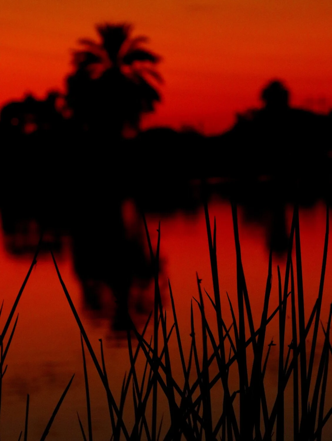 squareFireySkyLake0113.JPG