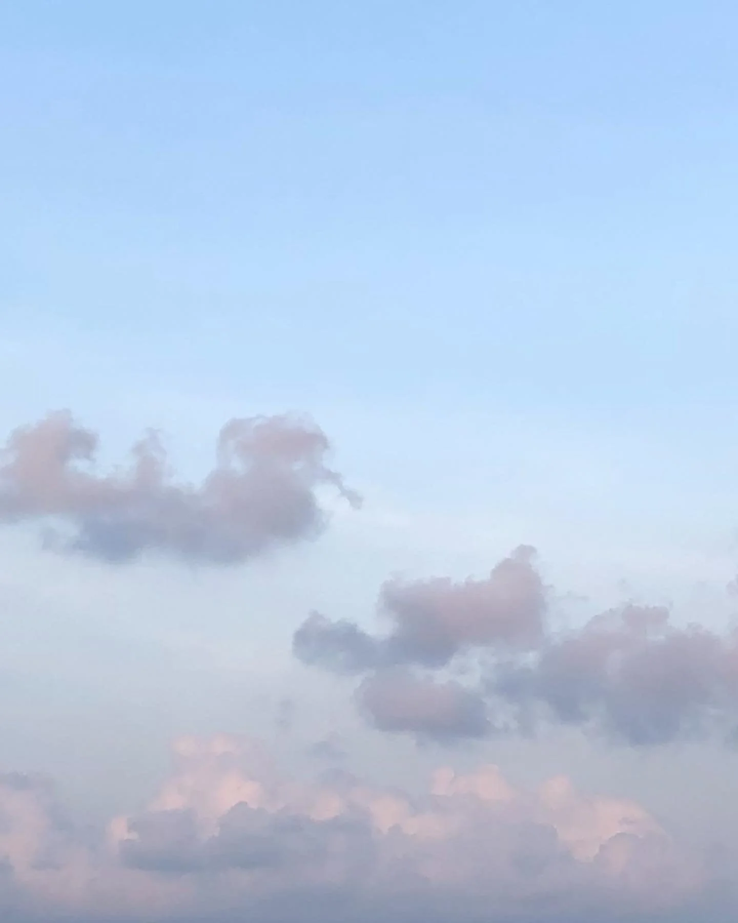 Mornings at @palmheightsgc