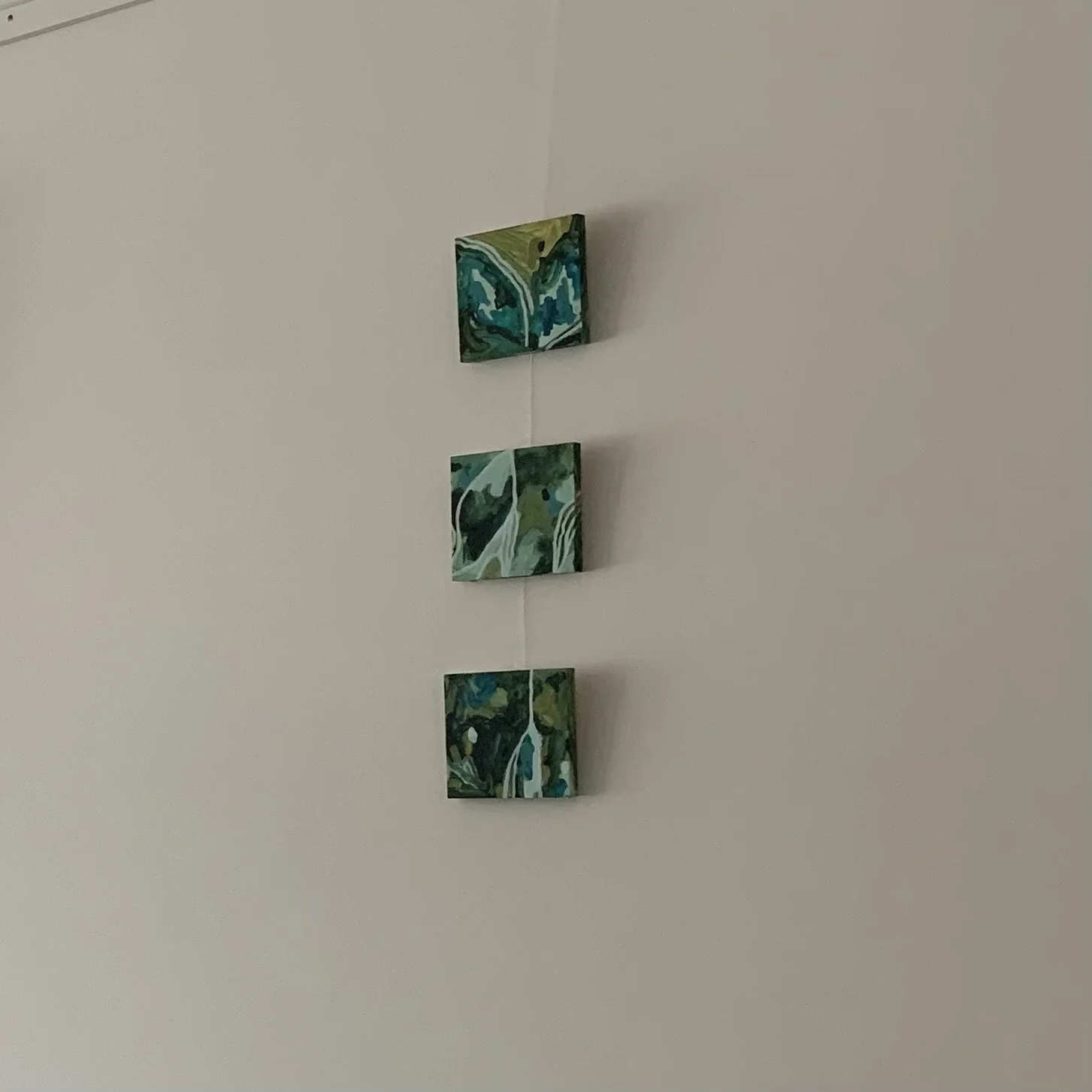 IMG_0530.jpeg